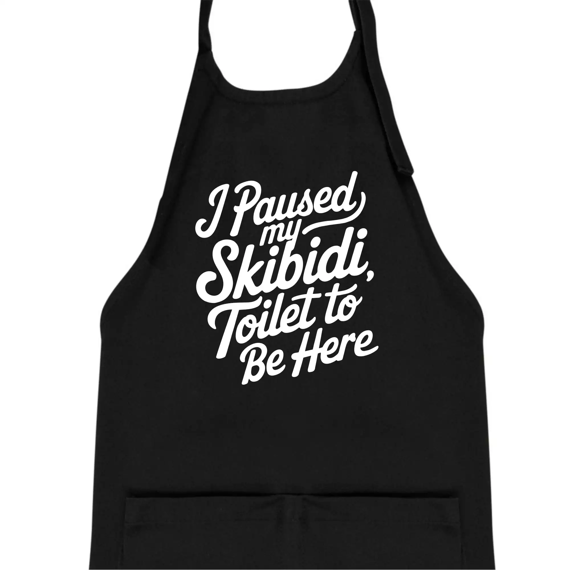 I Paused My Skibidi Toilet to be Here