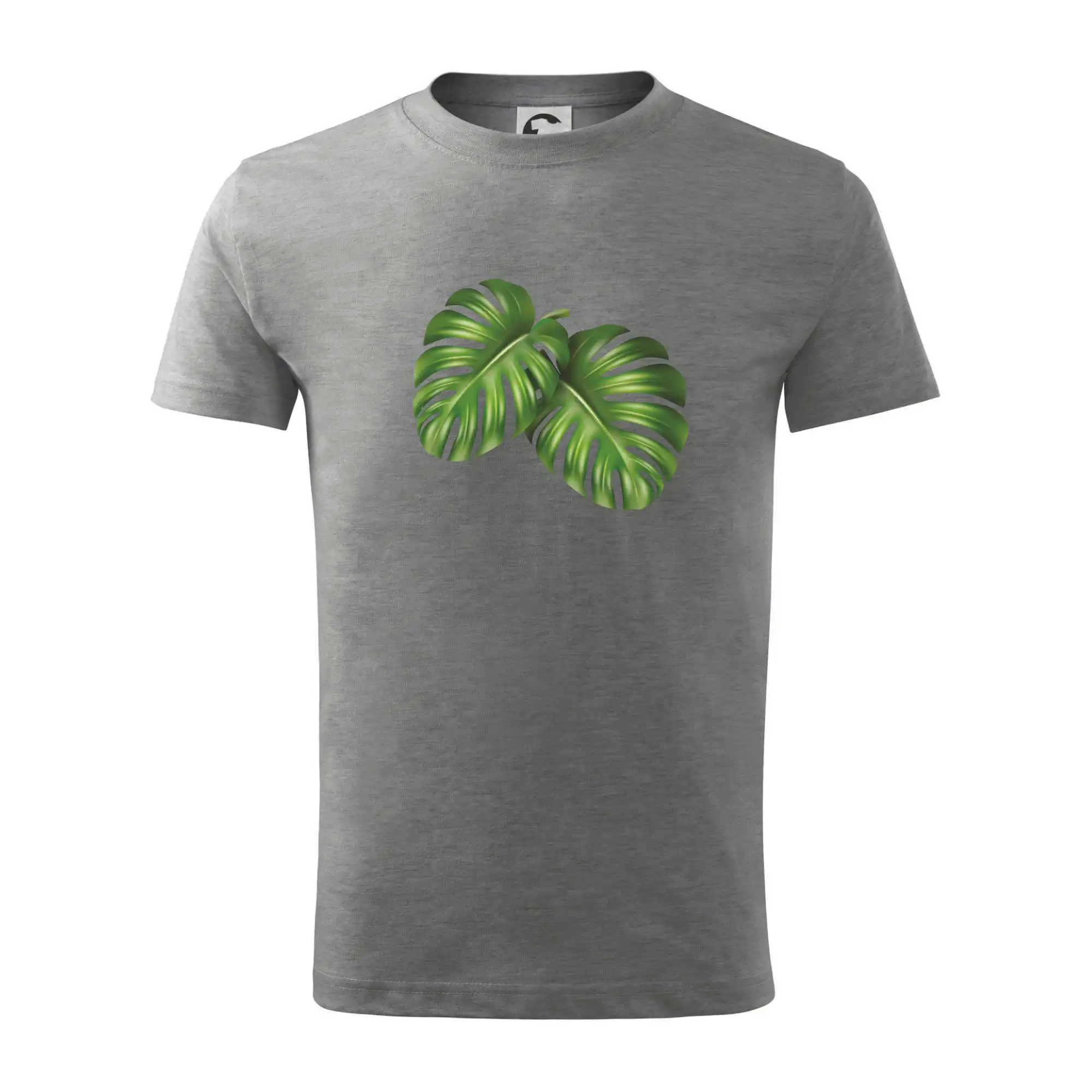 Monstera - dva listy