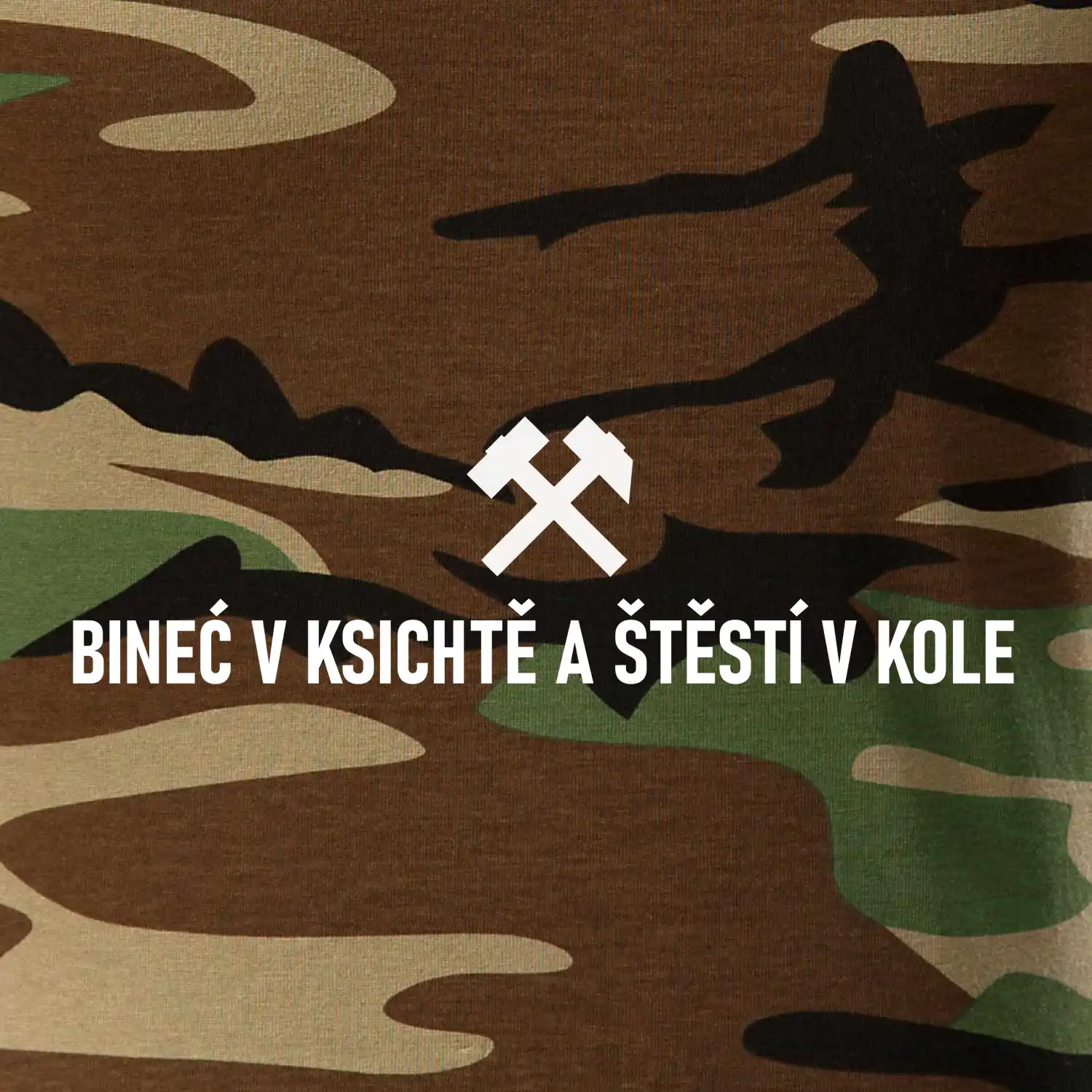 BINEĆ V KSICHTĚ A ŠTĚSTÍ V KOLE﻿