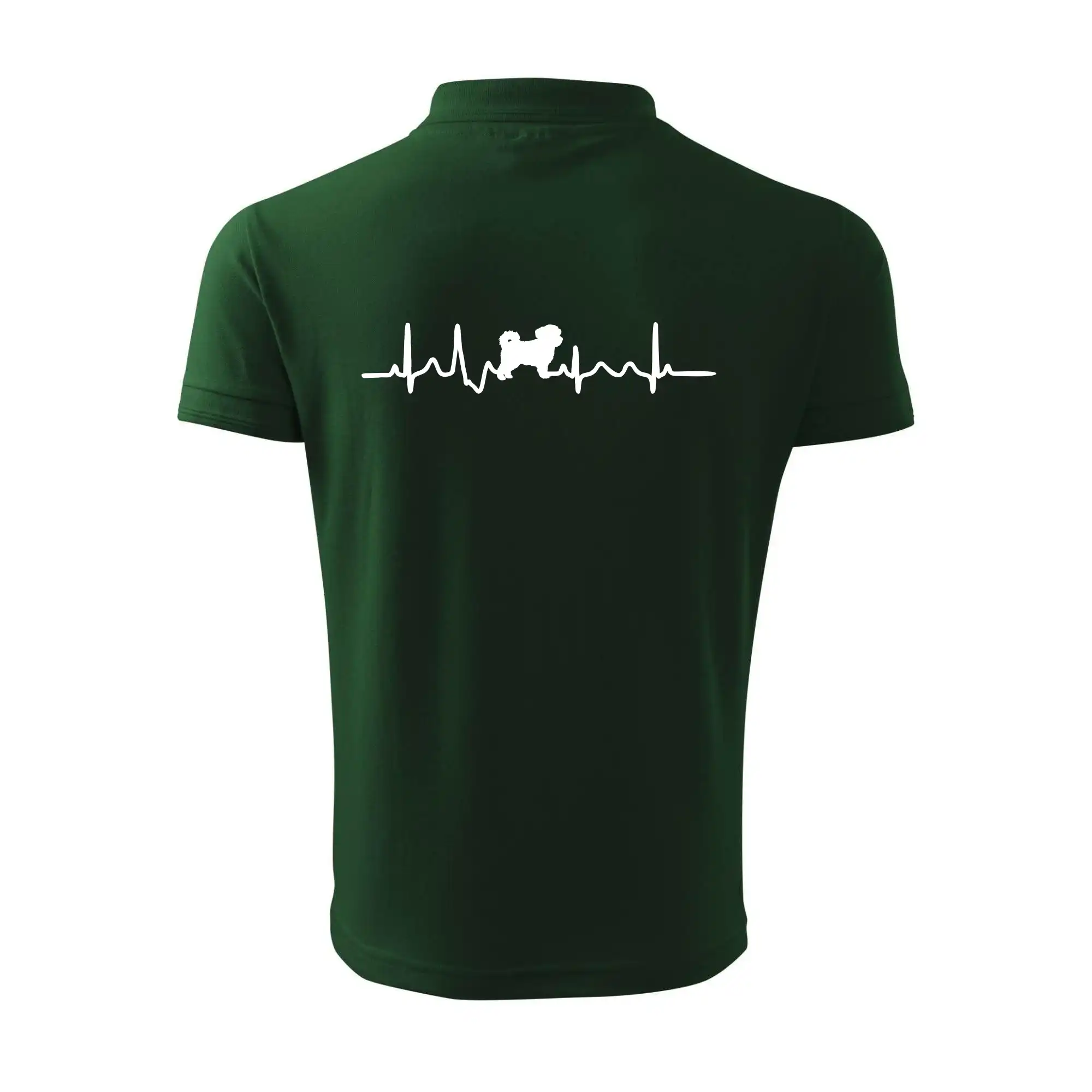 Havanský psík ekg