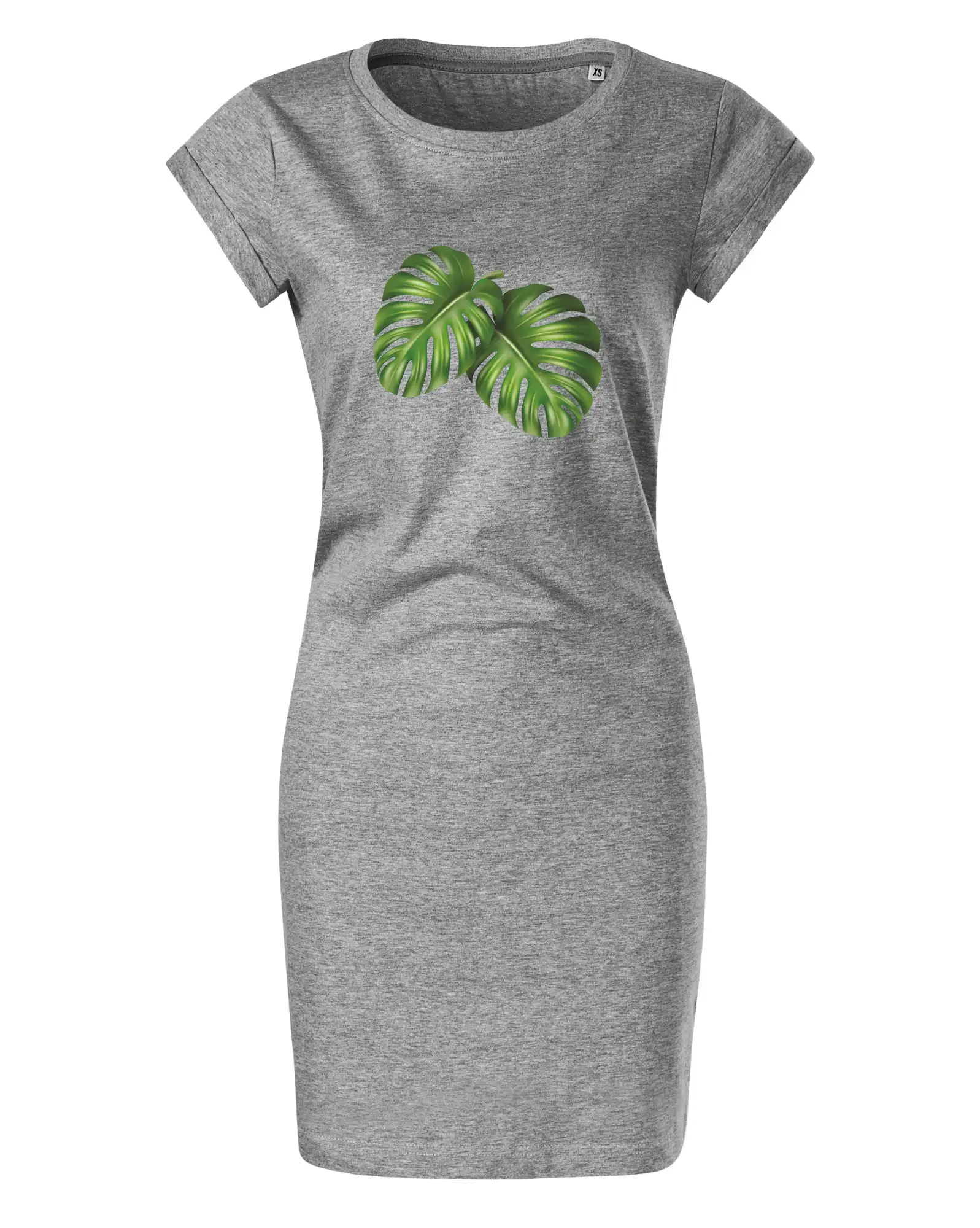 Monstera - dva listy