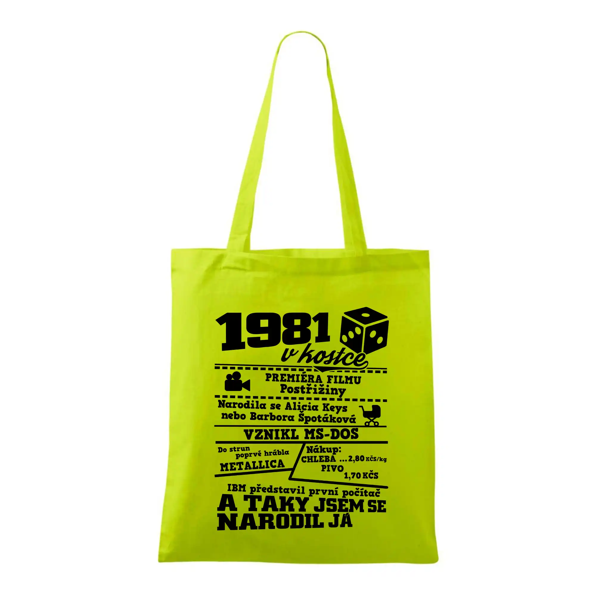 1981 v kostce