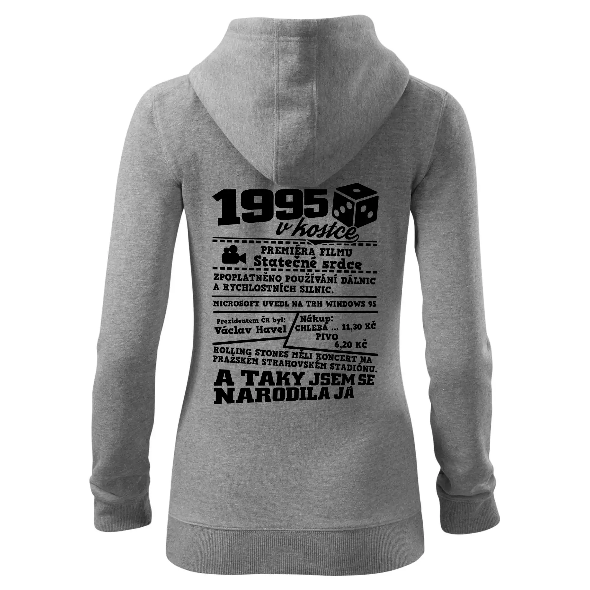 1995 v kostce