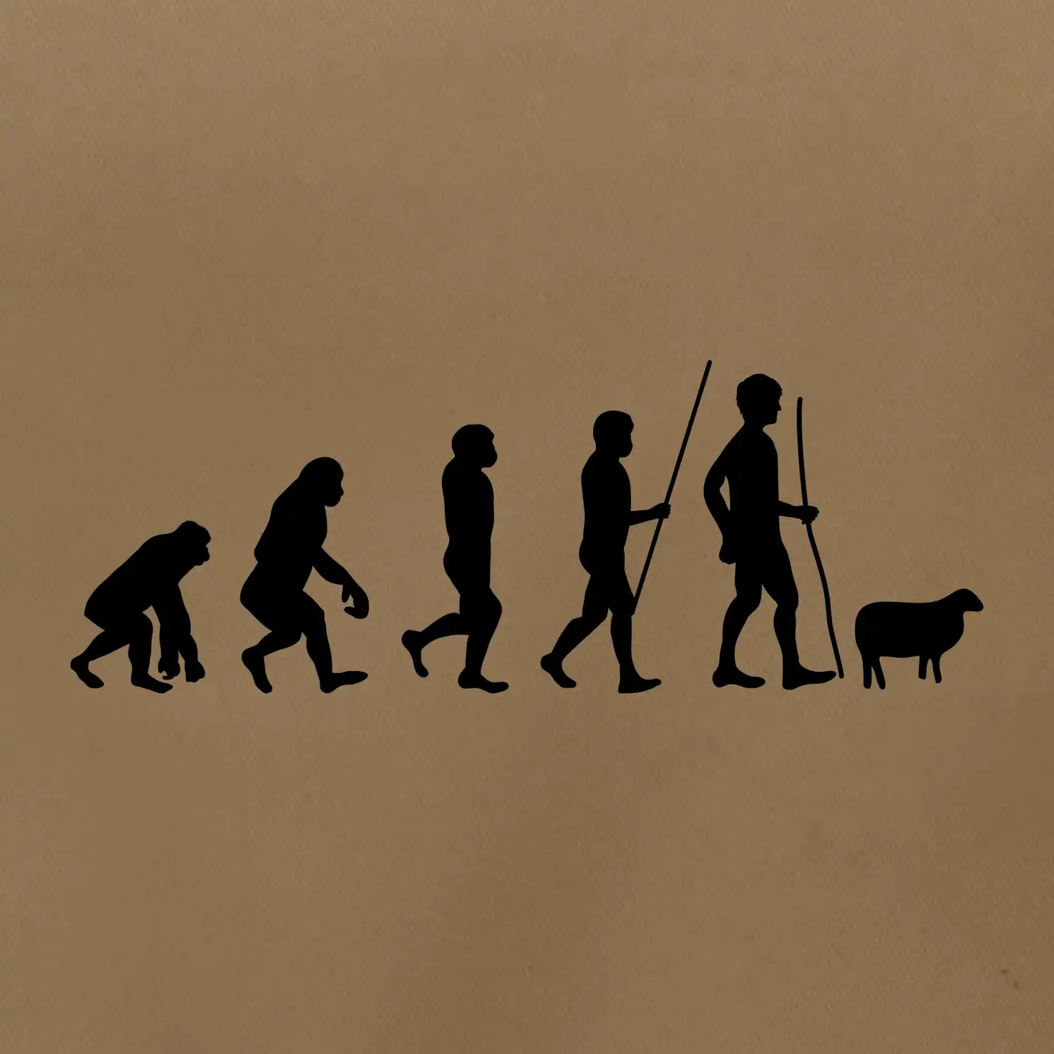 Evoluce pastevec ovcí