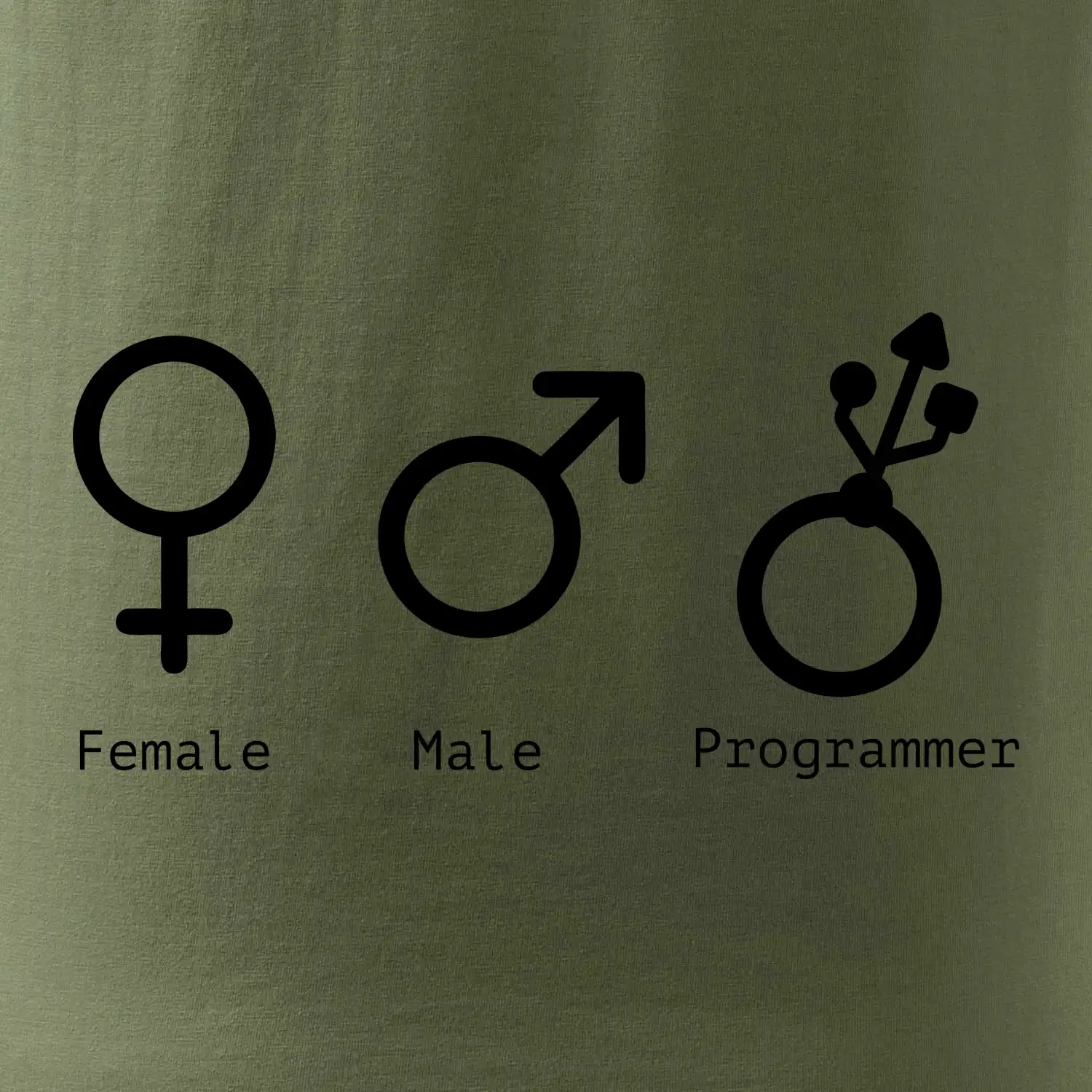 Female male programmer