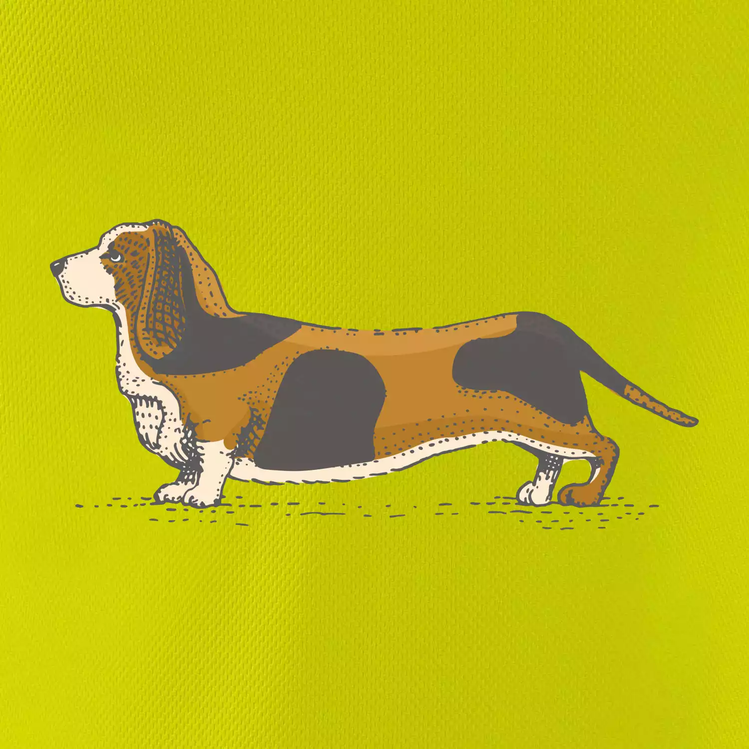 Vintage basset