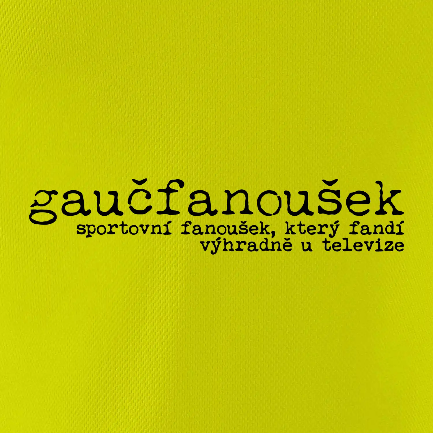 Čeština 2.0 - gaučfanoušek
