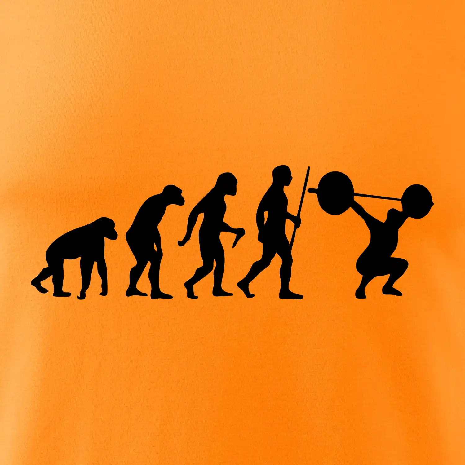 Evolution fitness