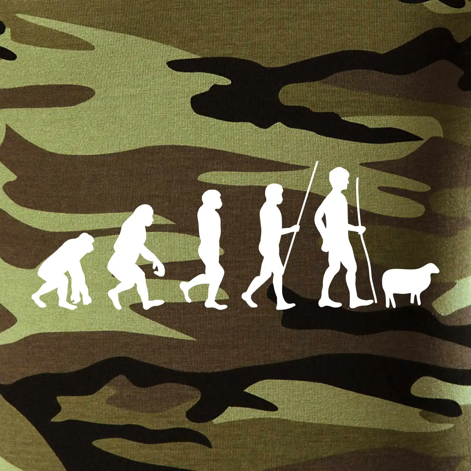 Evoluce pastevec ovcí