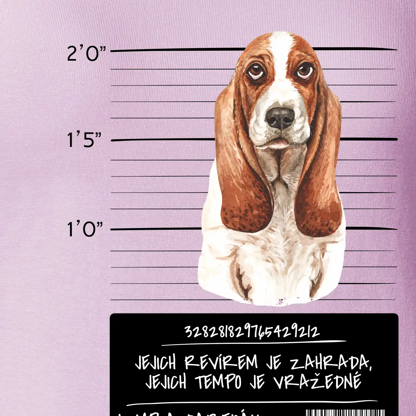 Baset - lump a darebák