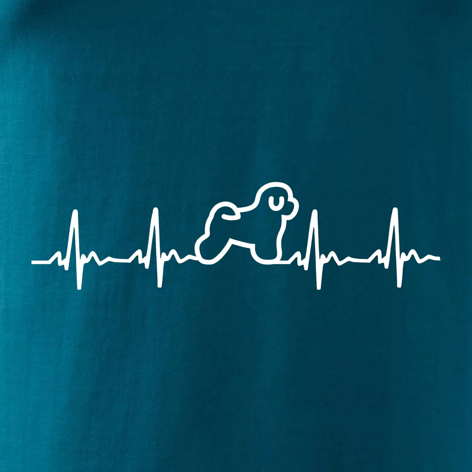 Bišonek ekg