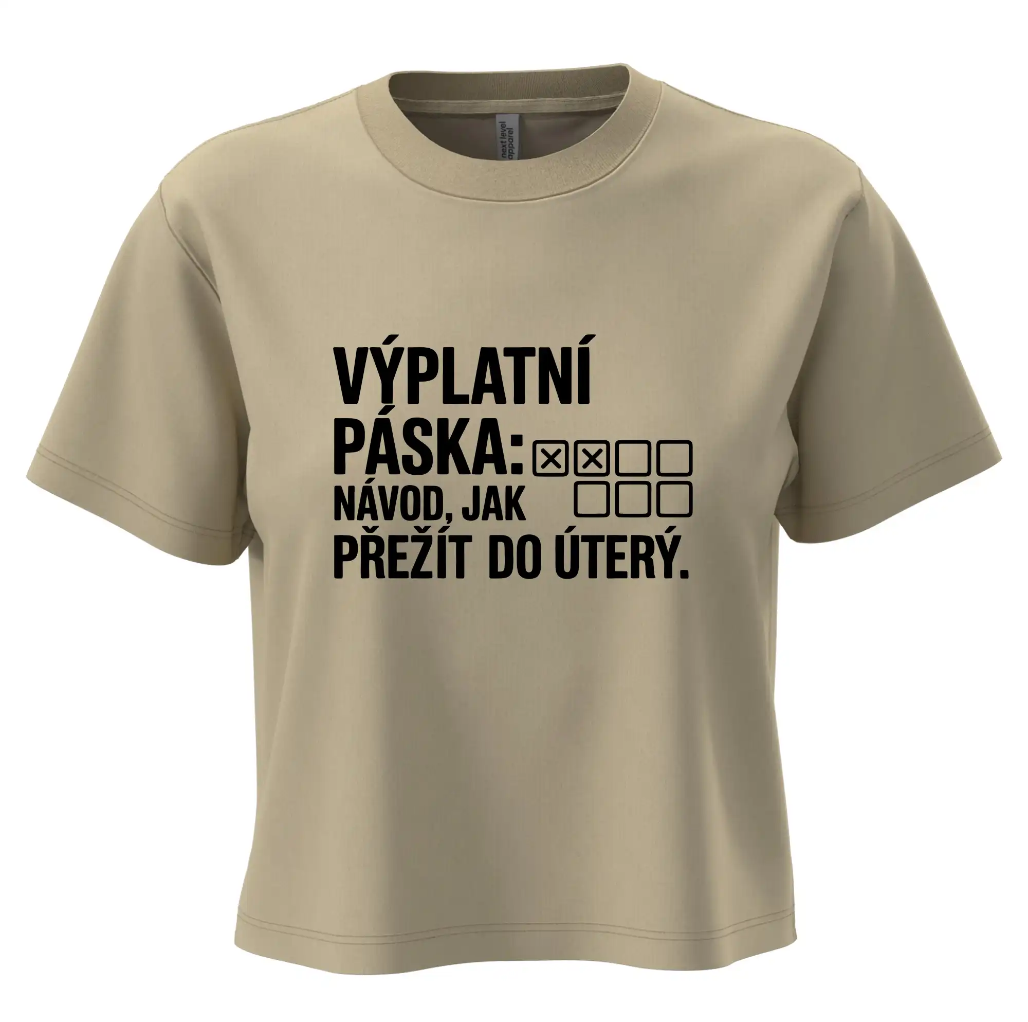 VÝPLATNÍ PÁSKA: Návod, jak přežít do úterý
