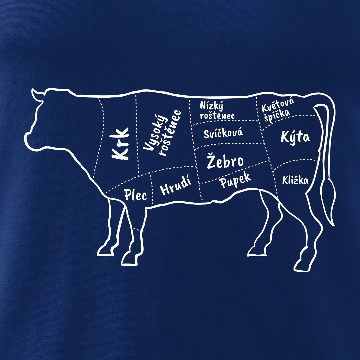 Kráva nákres s názvy
