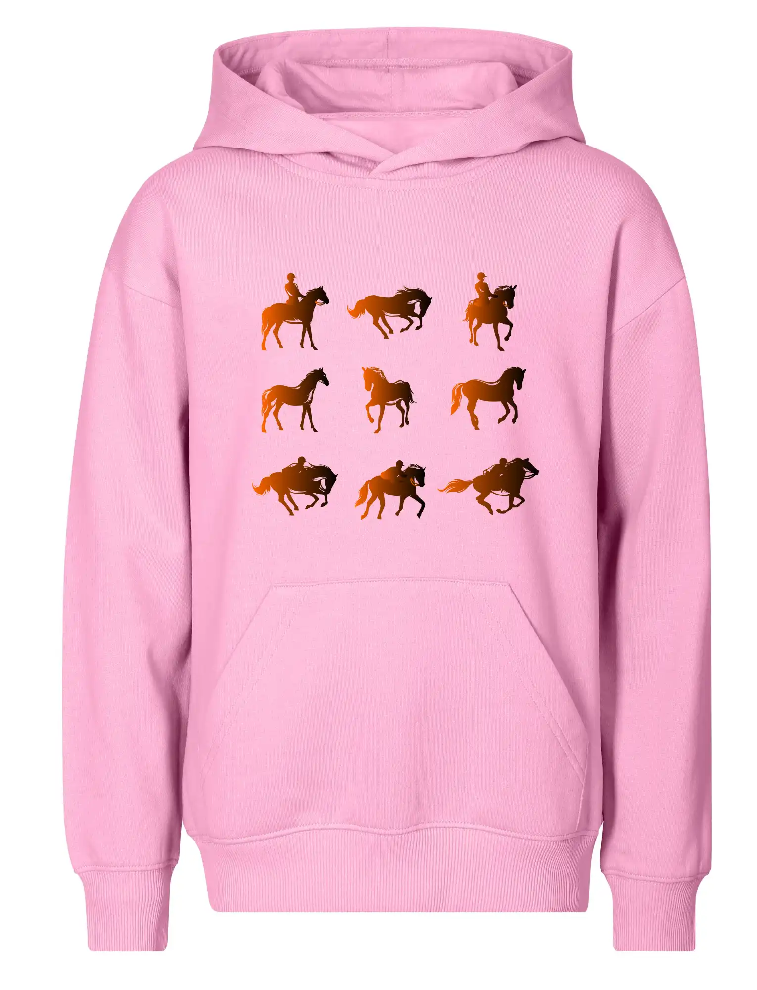 Koně v kostce