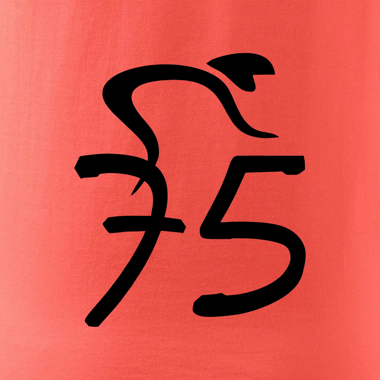 Cyklista slaví pětasedmdesátku (75)