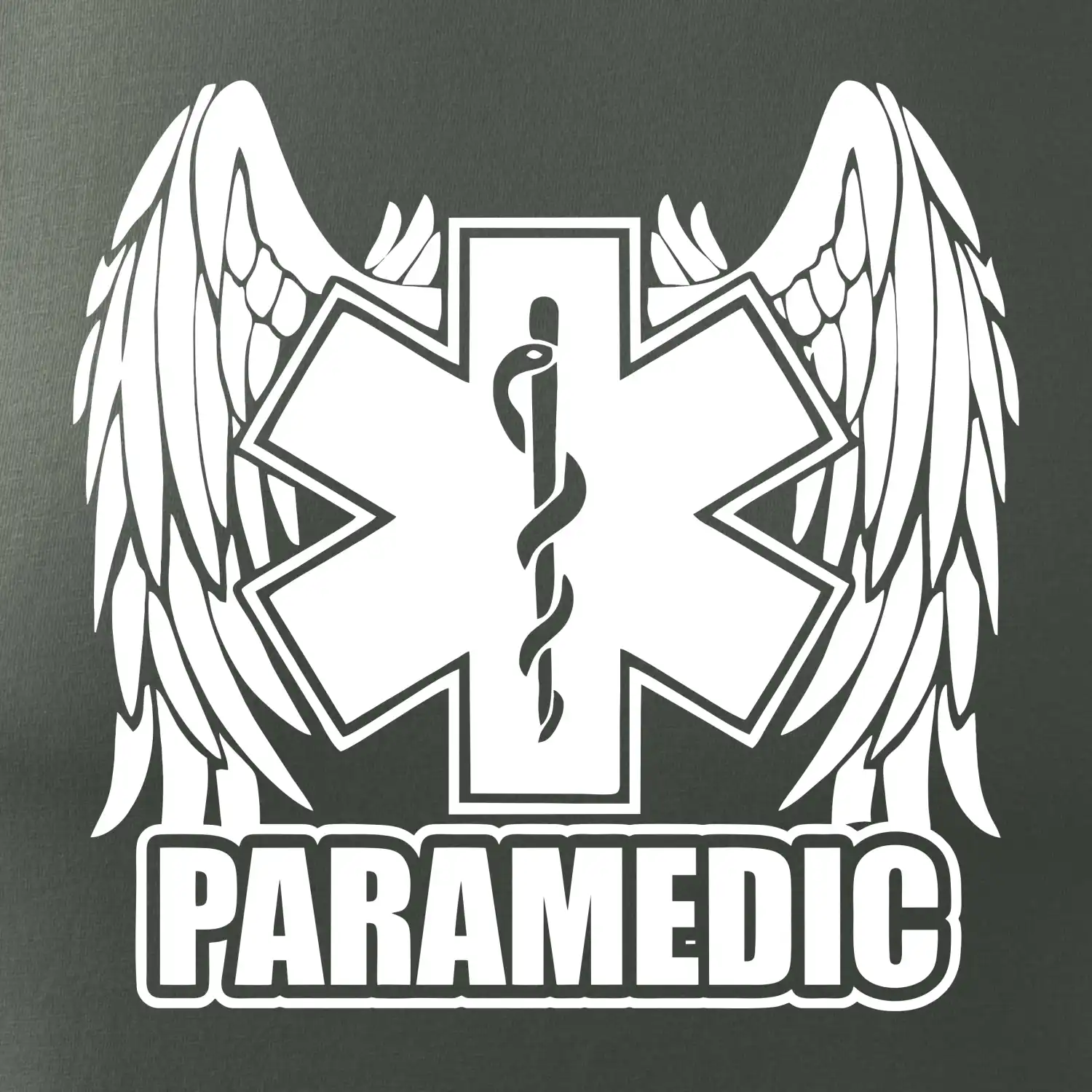Paramedic