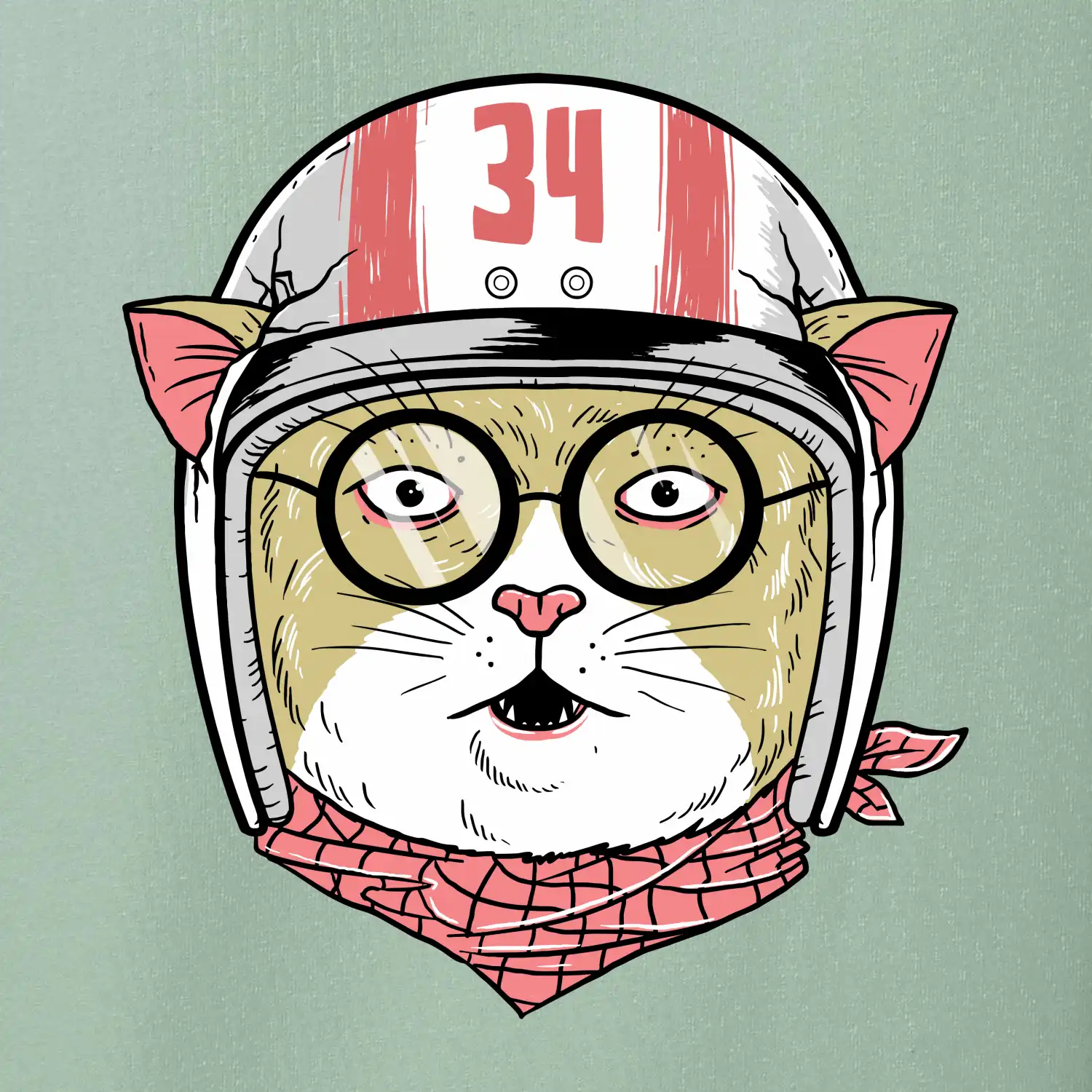 Moto kočka