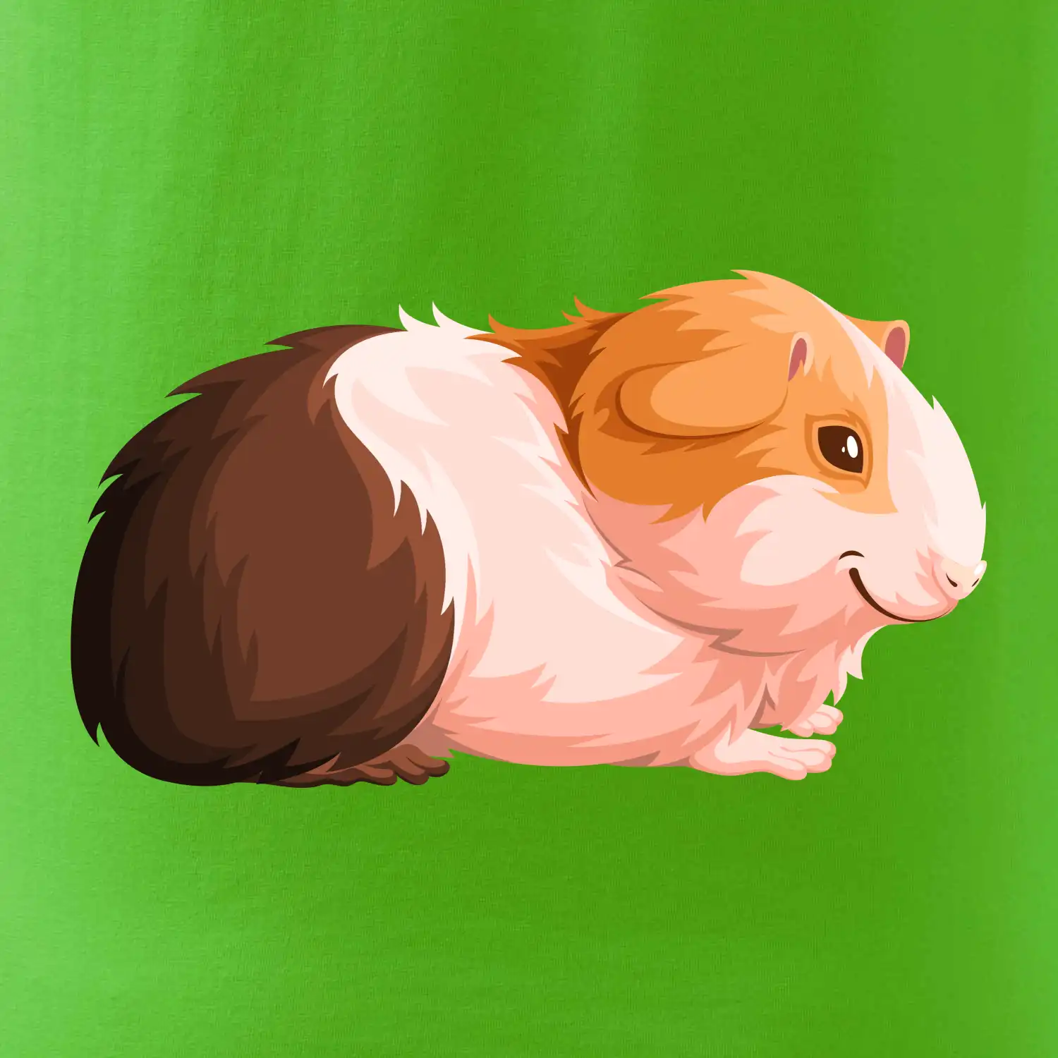 Morče - kreslené z boku