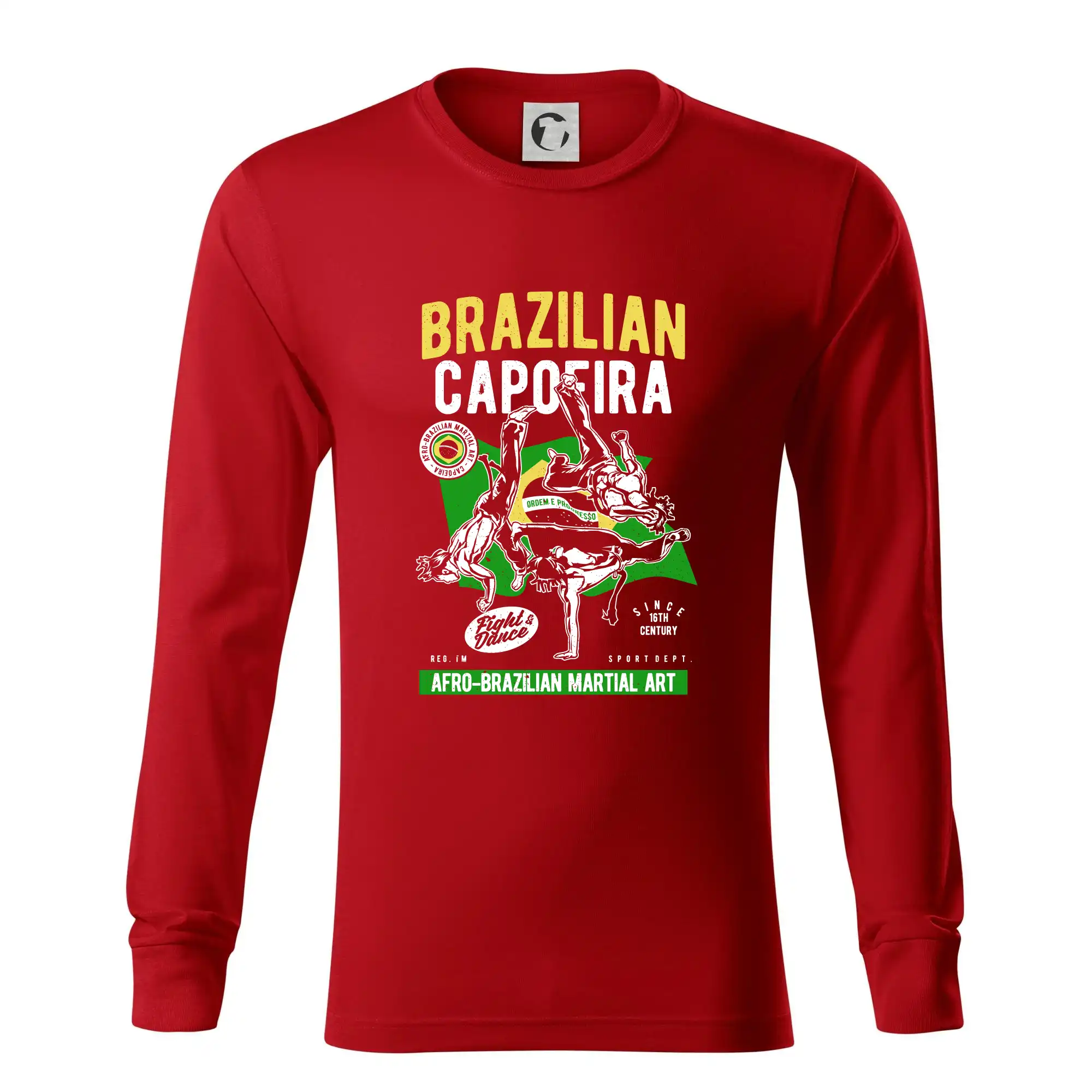 Brazilian Capoeira