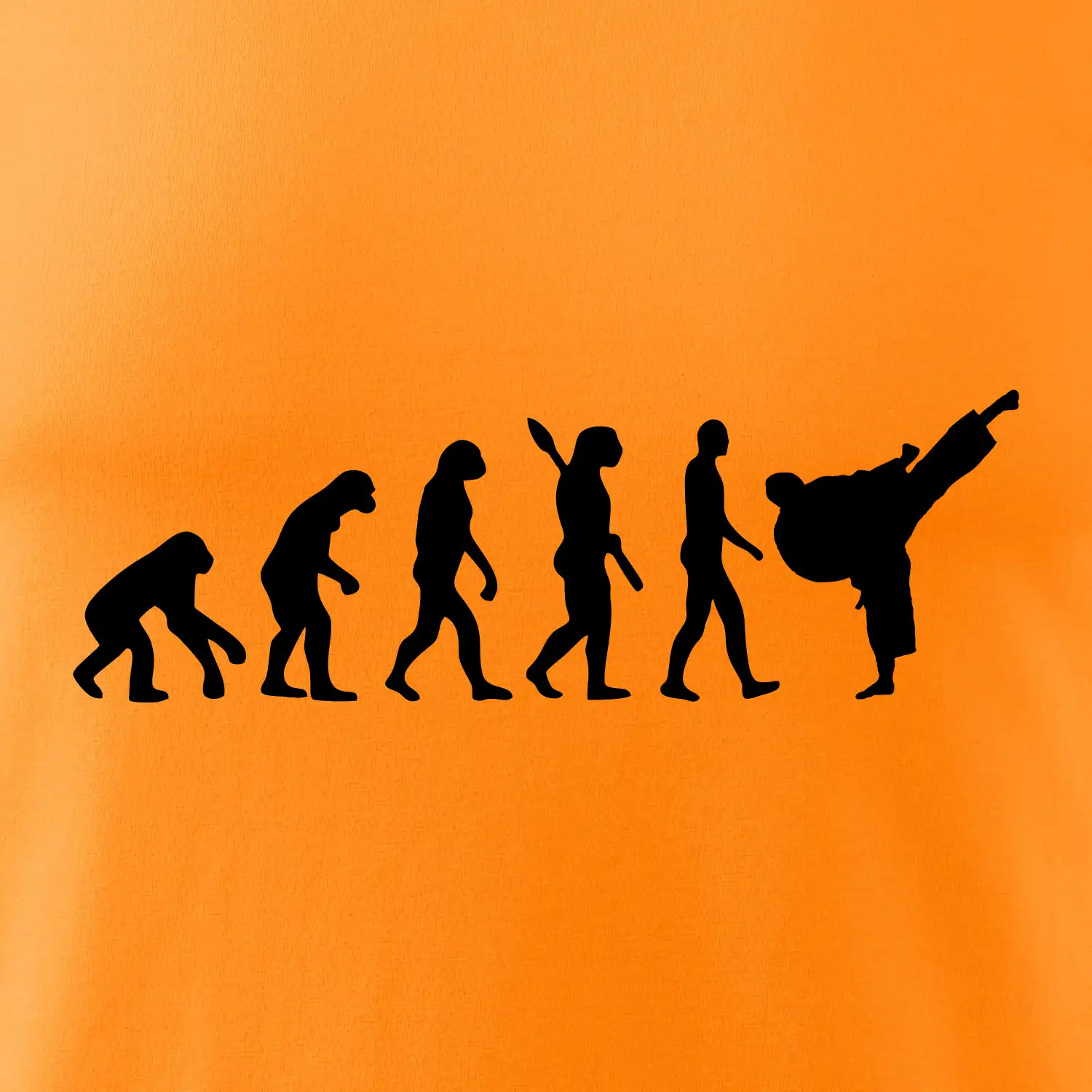 Karate Evoluce - kop