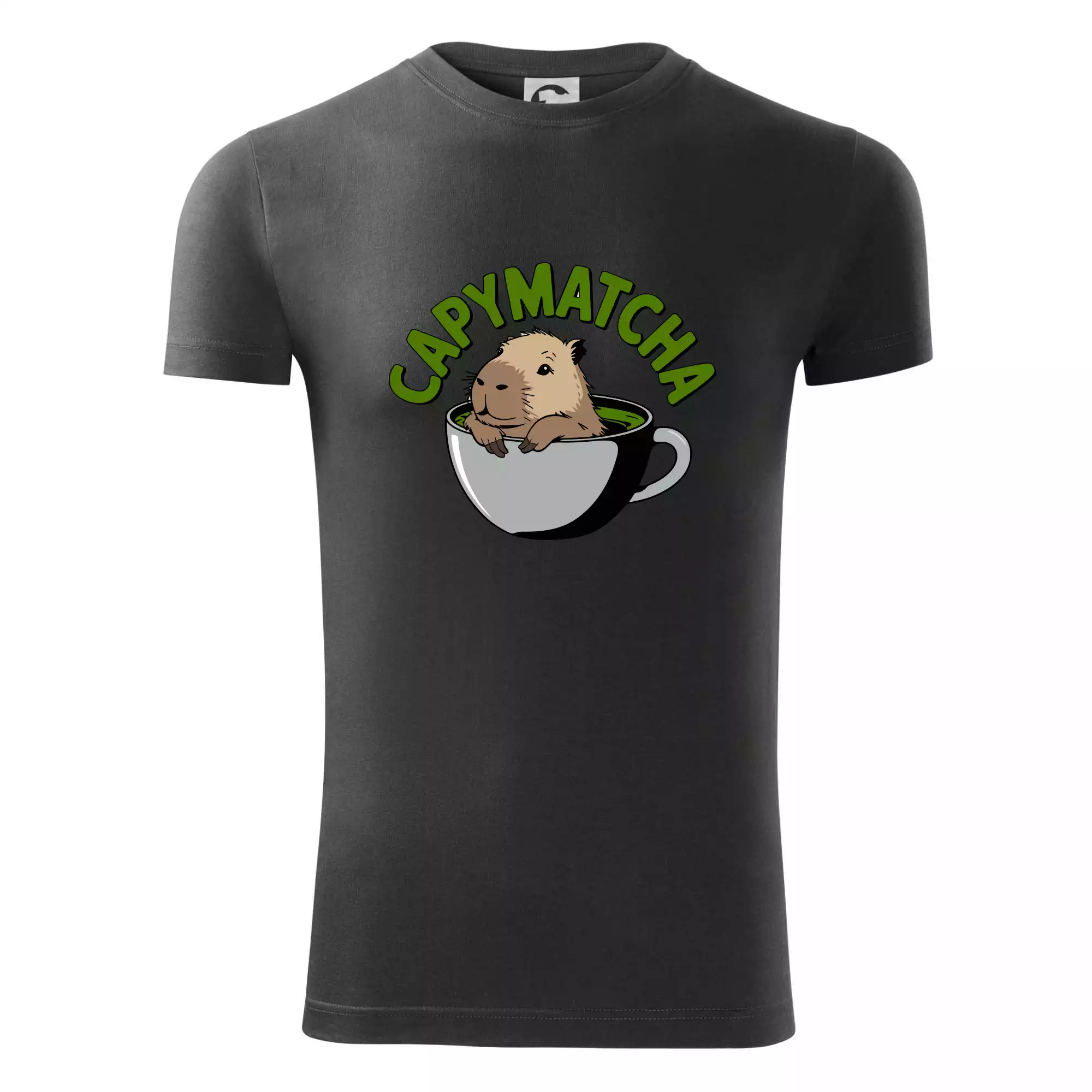 Capybara papymatcha