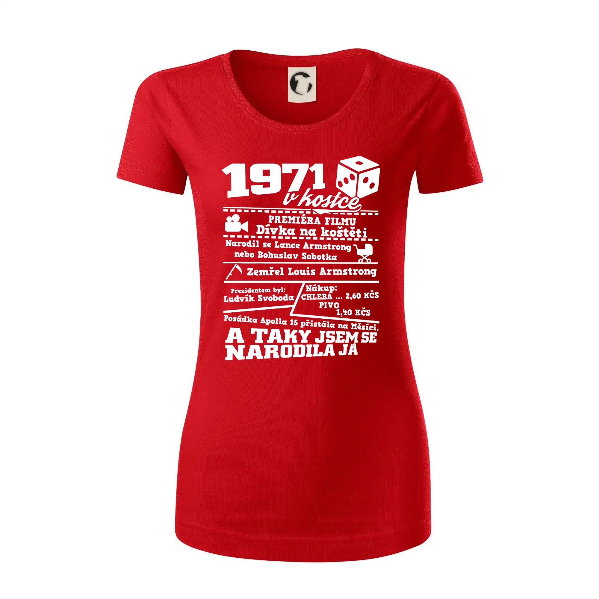 1971 v kostce