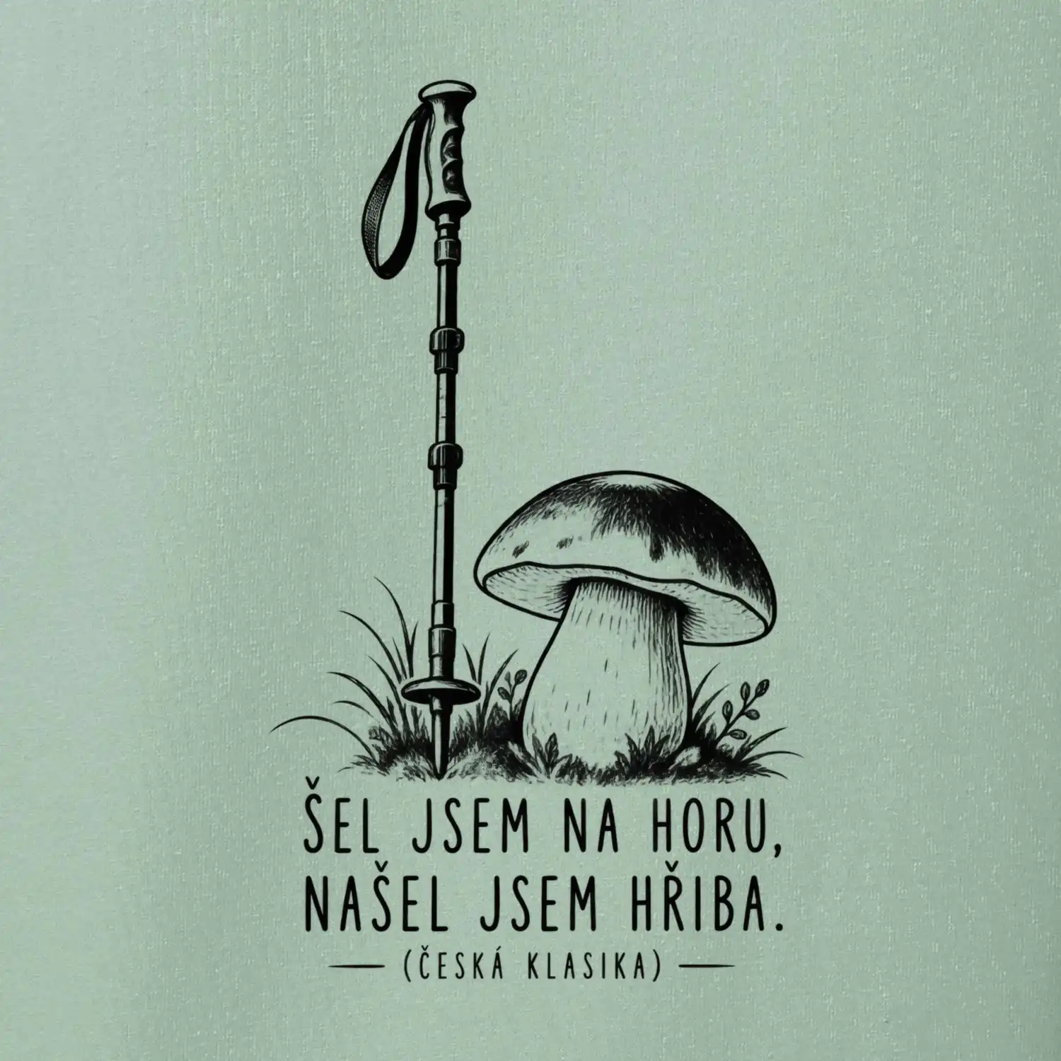 Šel jsem na horu našel jsem hřiba česká klasika