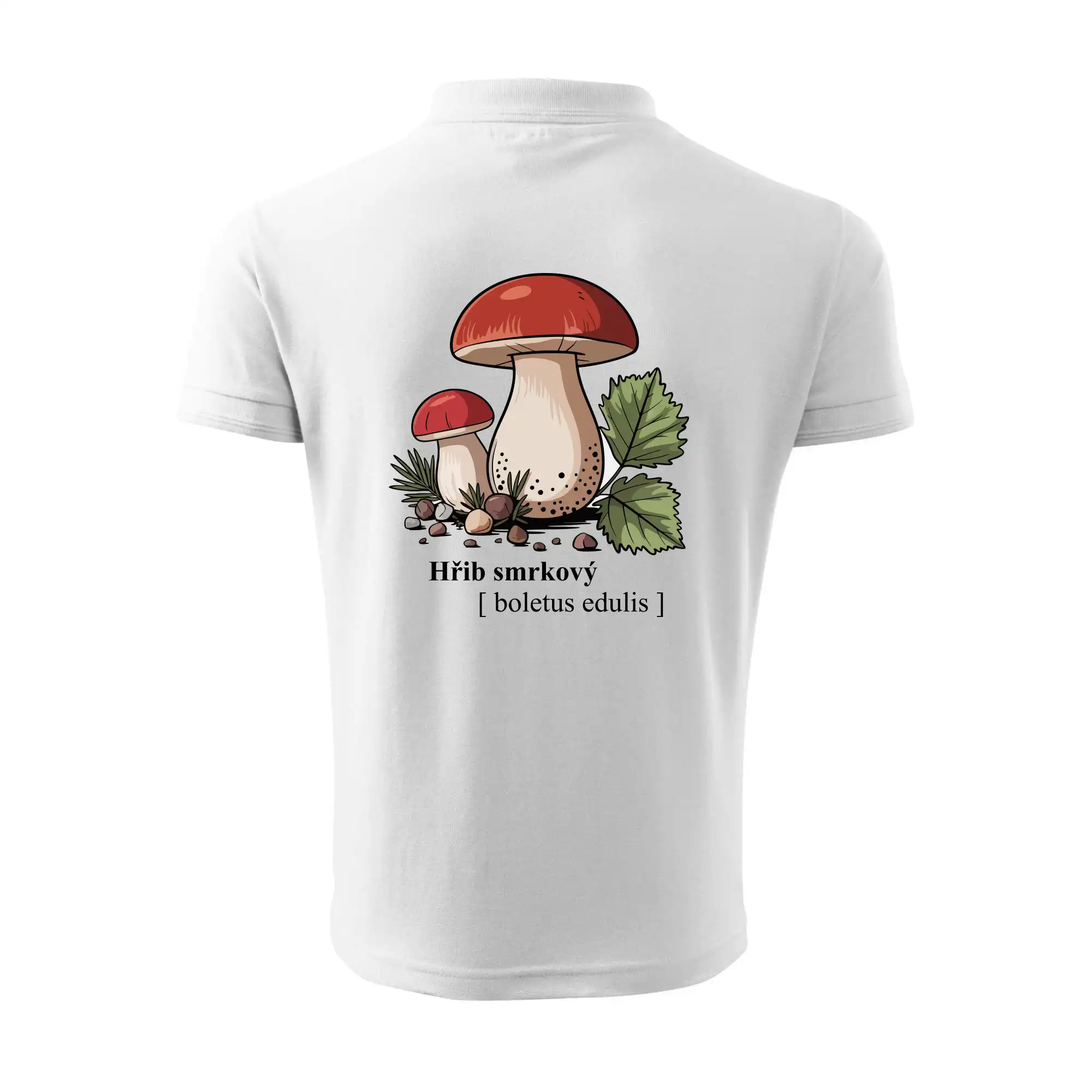 Hřib smrkový - Boletus edulis kreslený