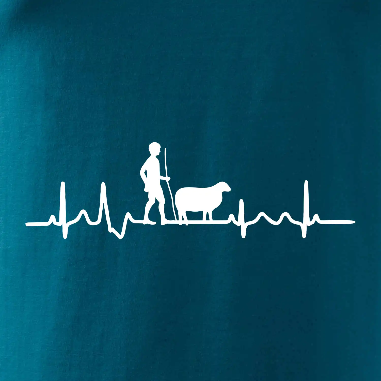 Ekg pastevec ovcí