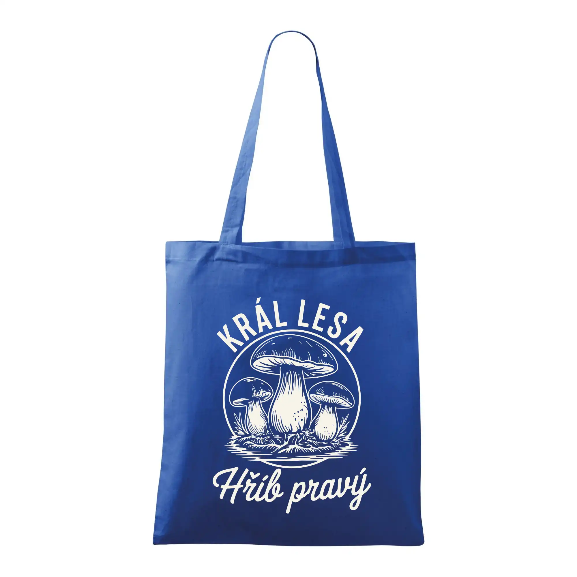 Král lesa hřib pravý