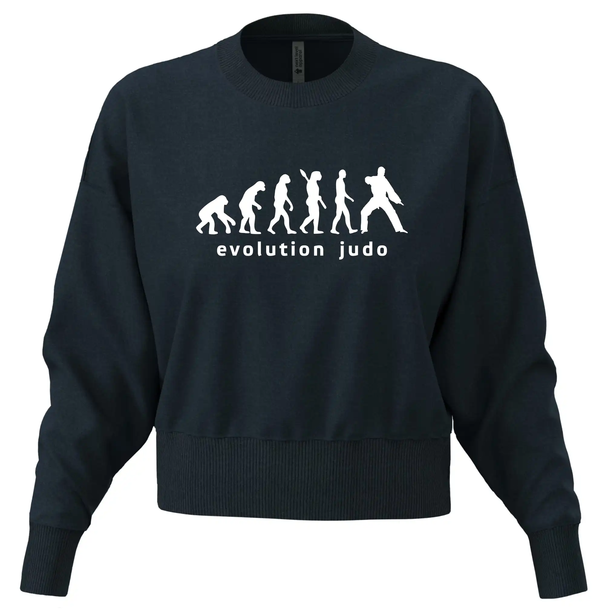 Judo evoluce - úder
