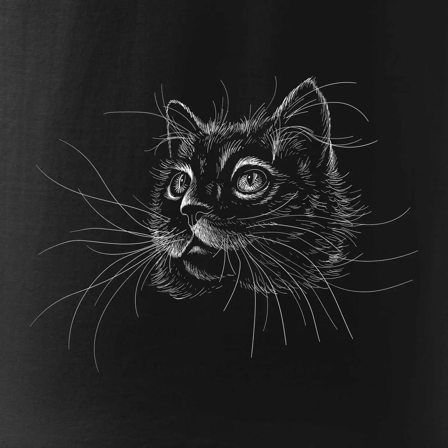 Kočka ilustrace