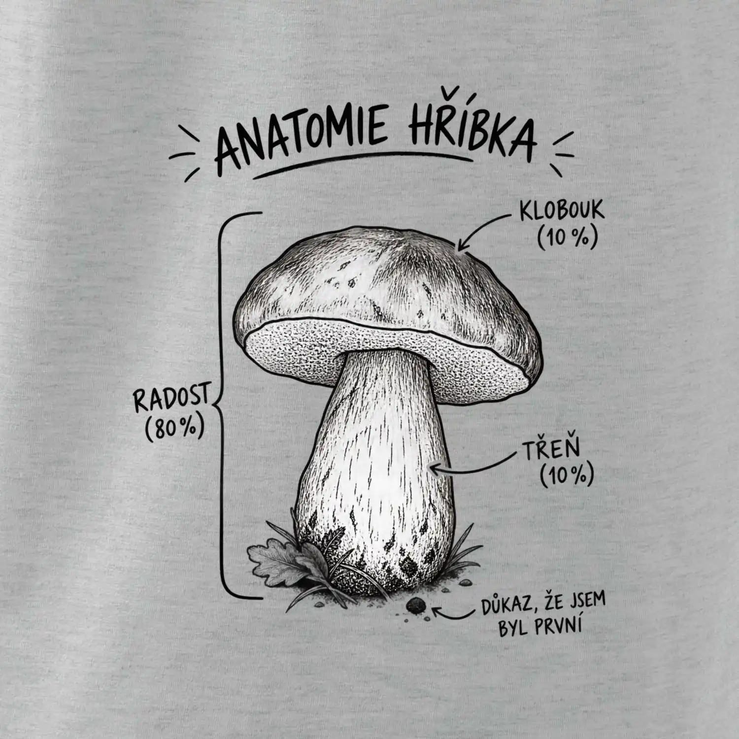 Anatomie hříbka