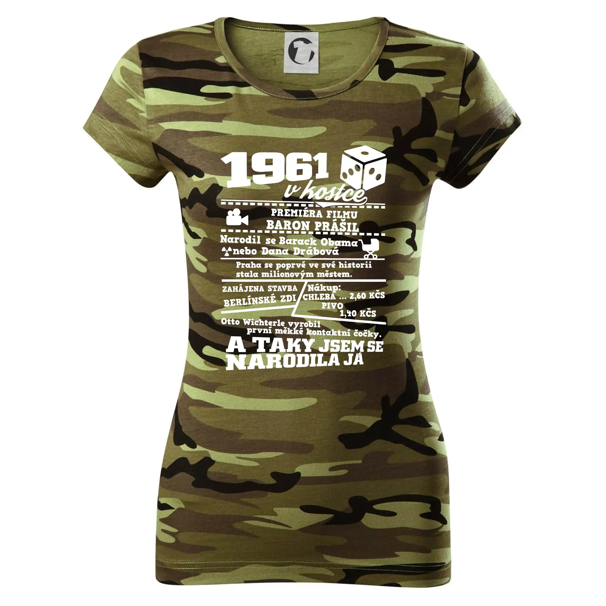 1961 v kostce
