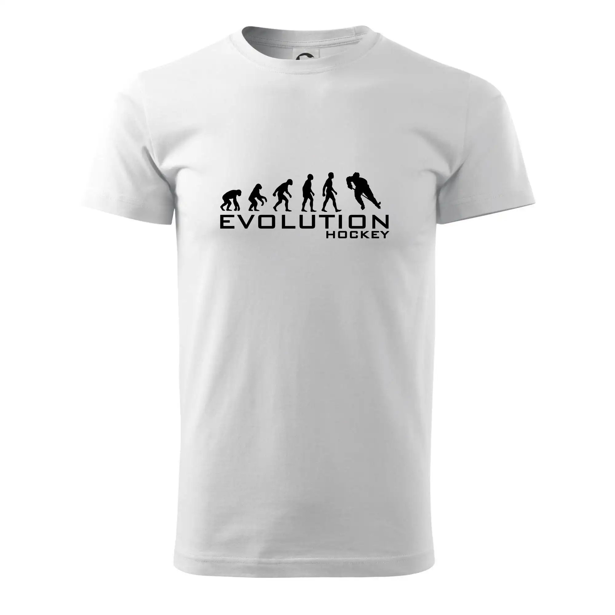 Evoluce Hockey - hráč