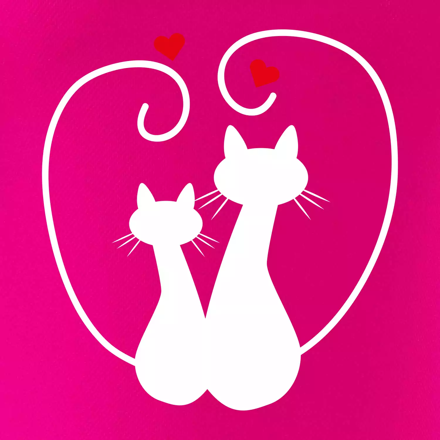 Kočky - Zamilovaný pár