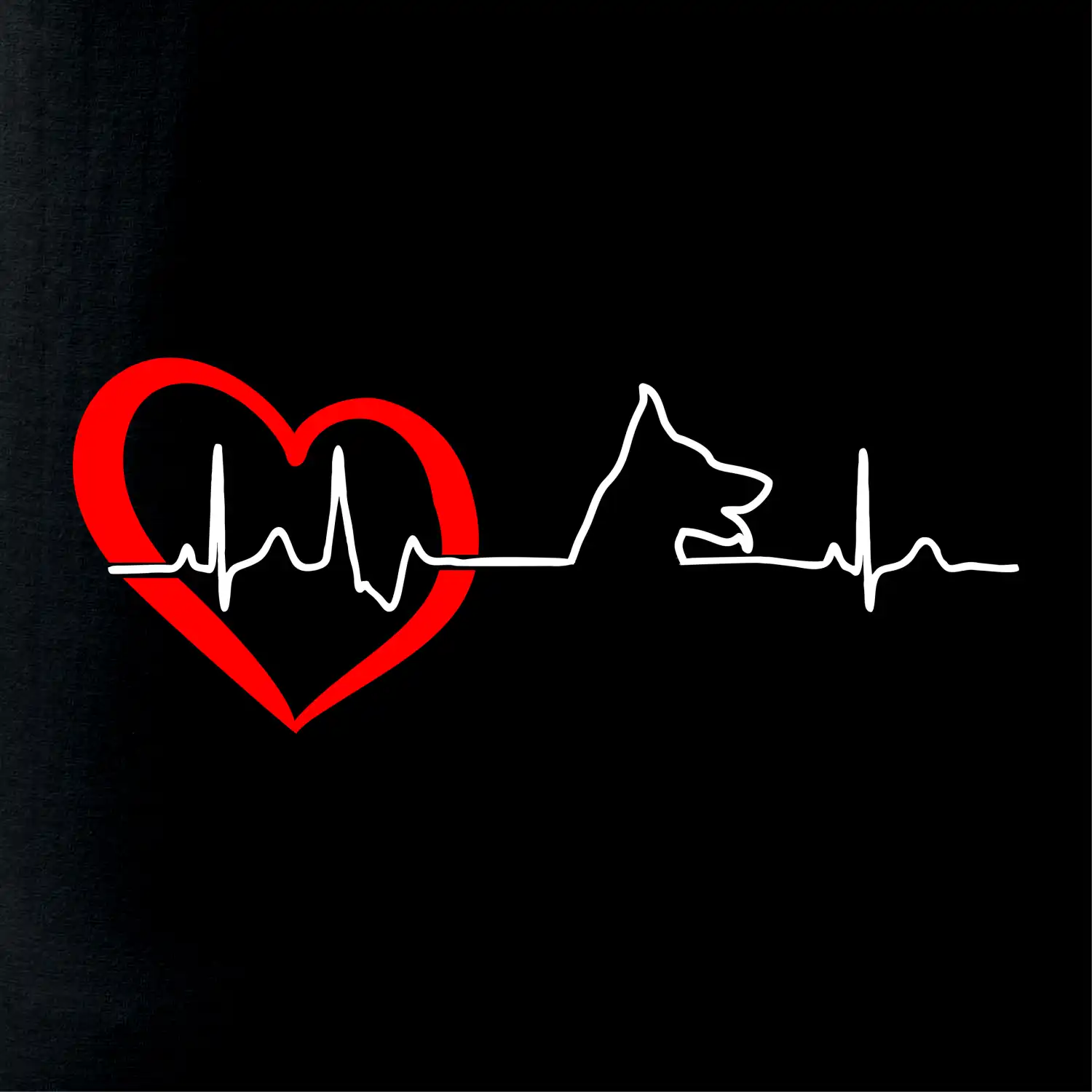 Německý ovčák ekg