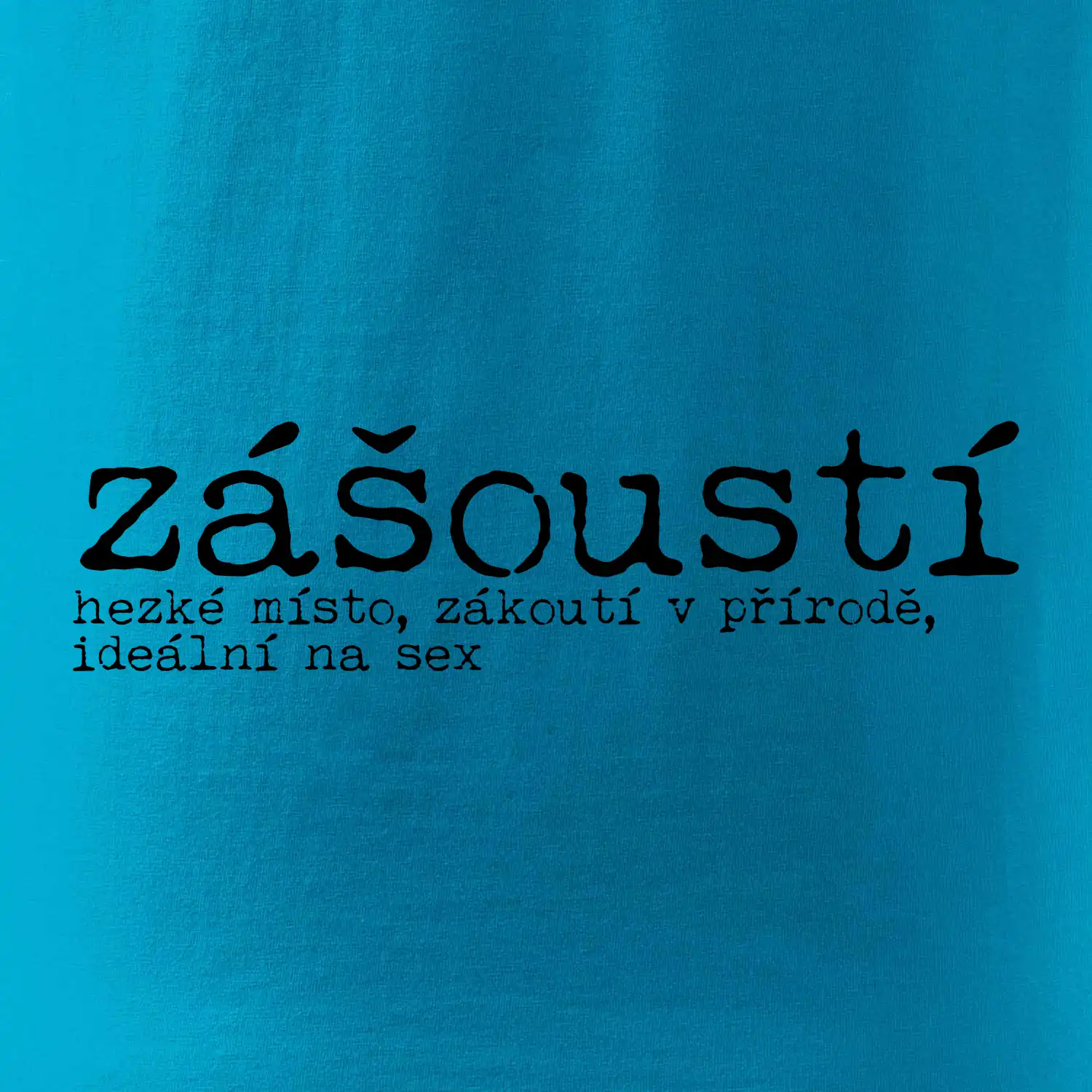 Čeština 2.0 - zášoustí