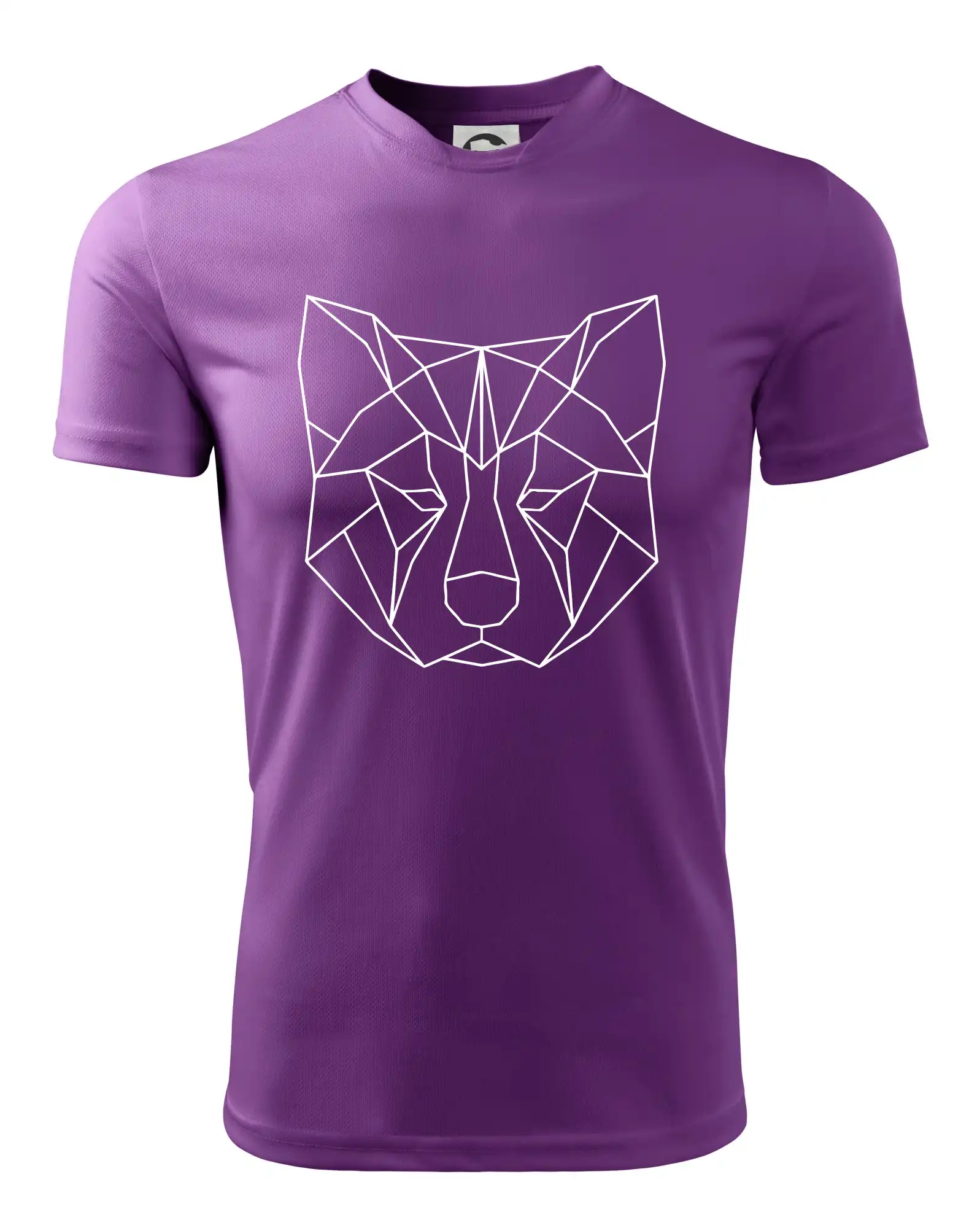 Akita Inu - Geometrie