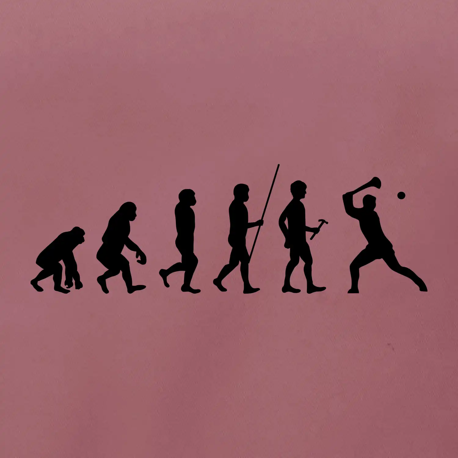Evoluce hurling