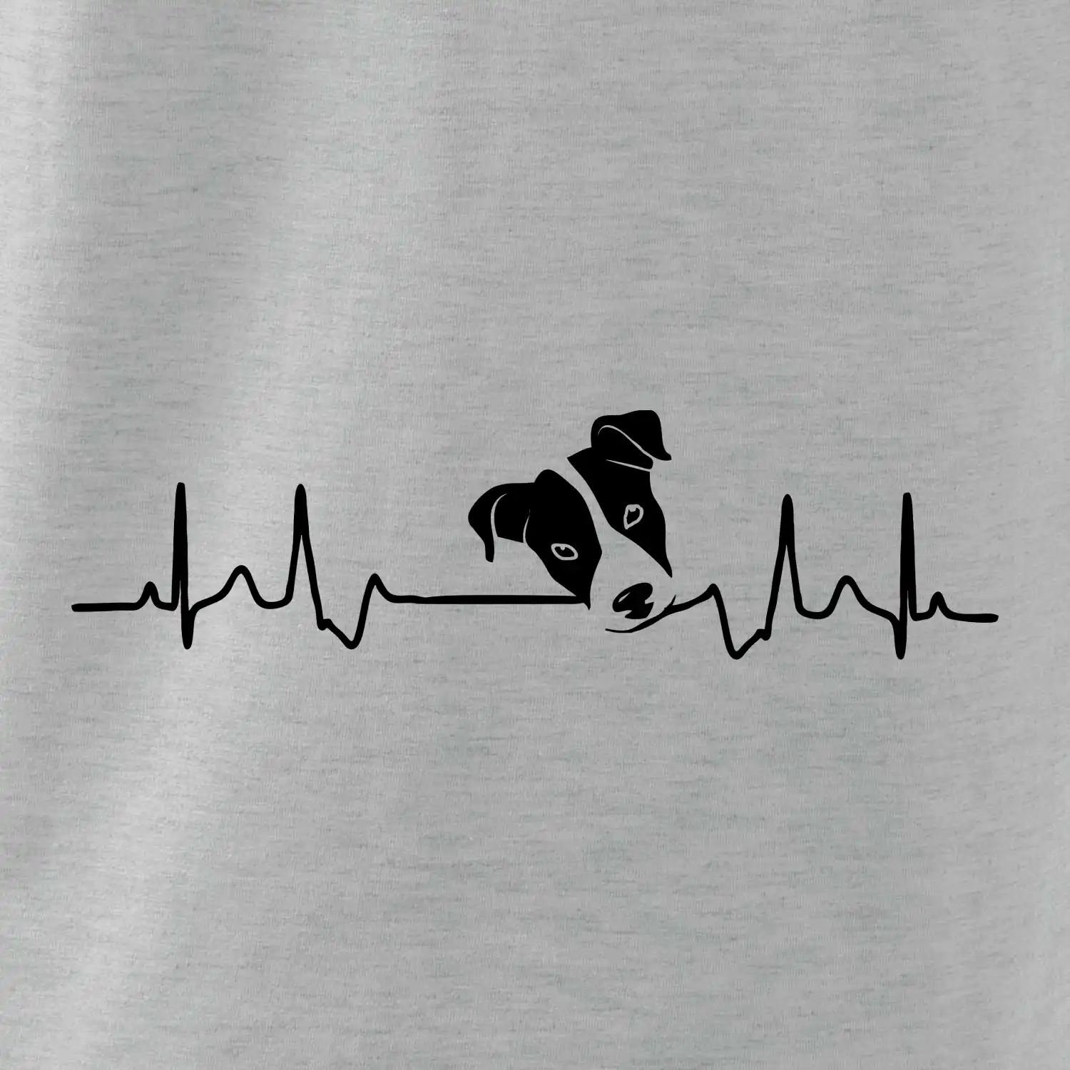 Jack Russell Terriér  - hlava