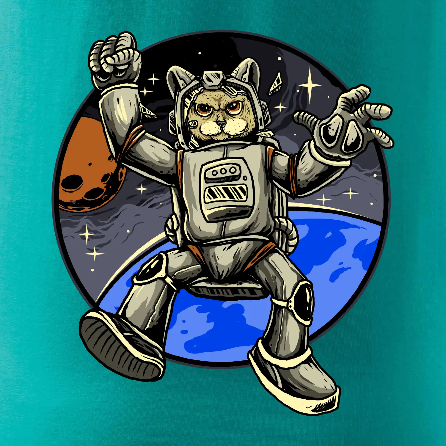 Kočičí astronaut