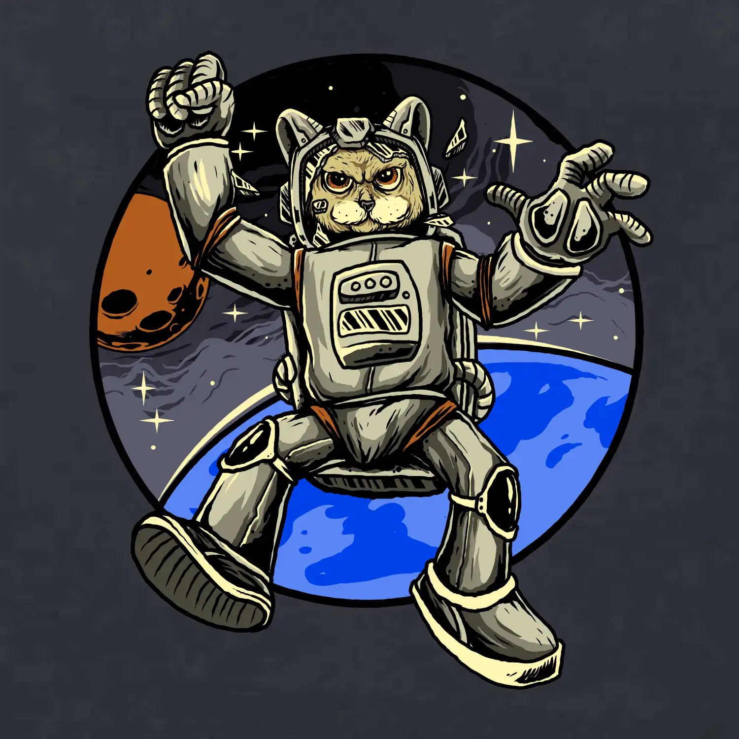 Kočičí astronaut