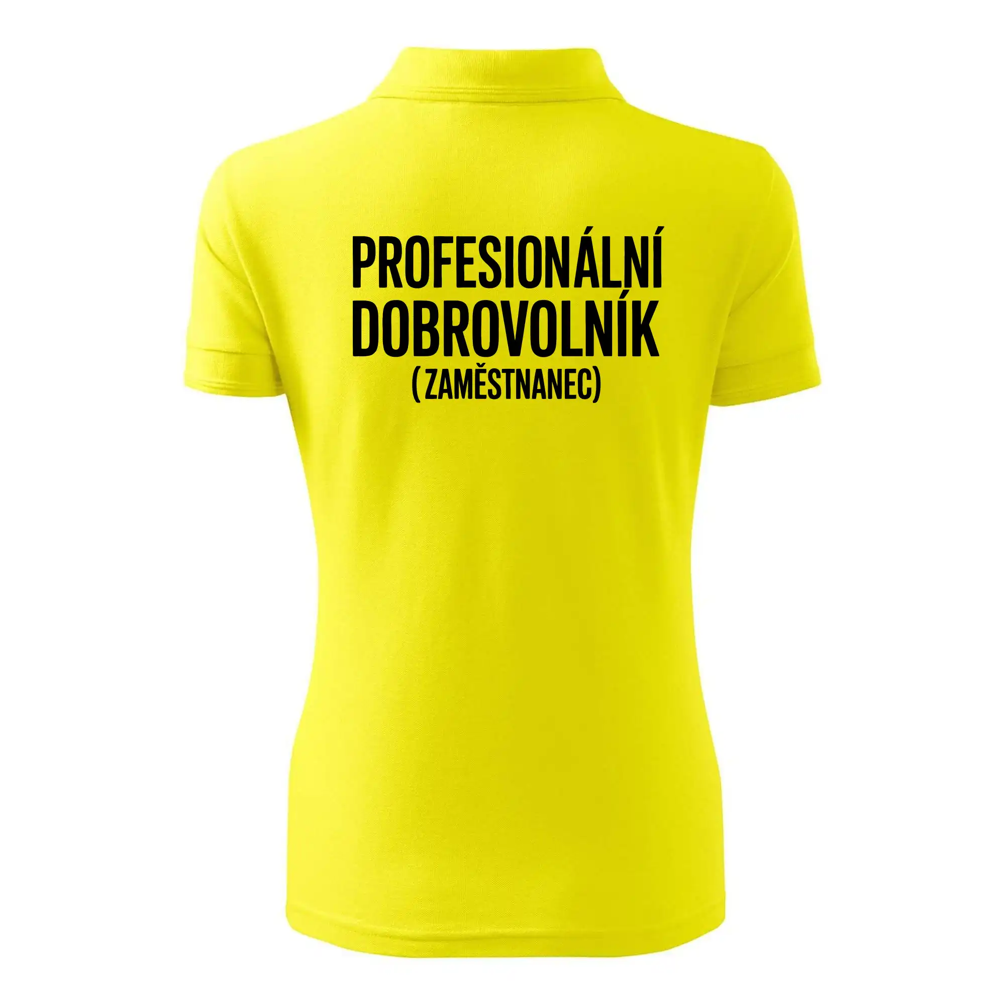 PROFESIONÁLNÍ DOBROVOLNÍK (zaměstnanec)
