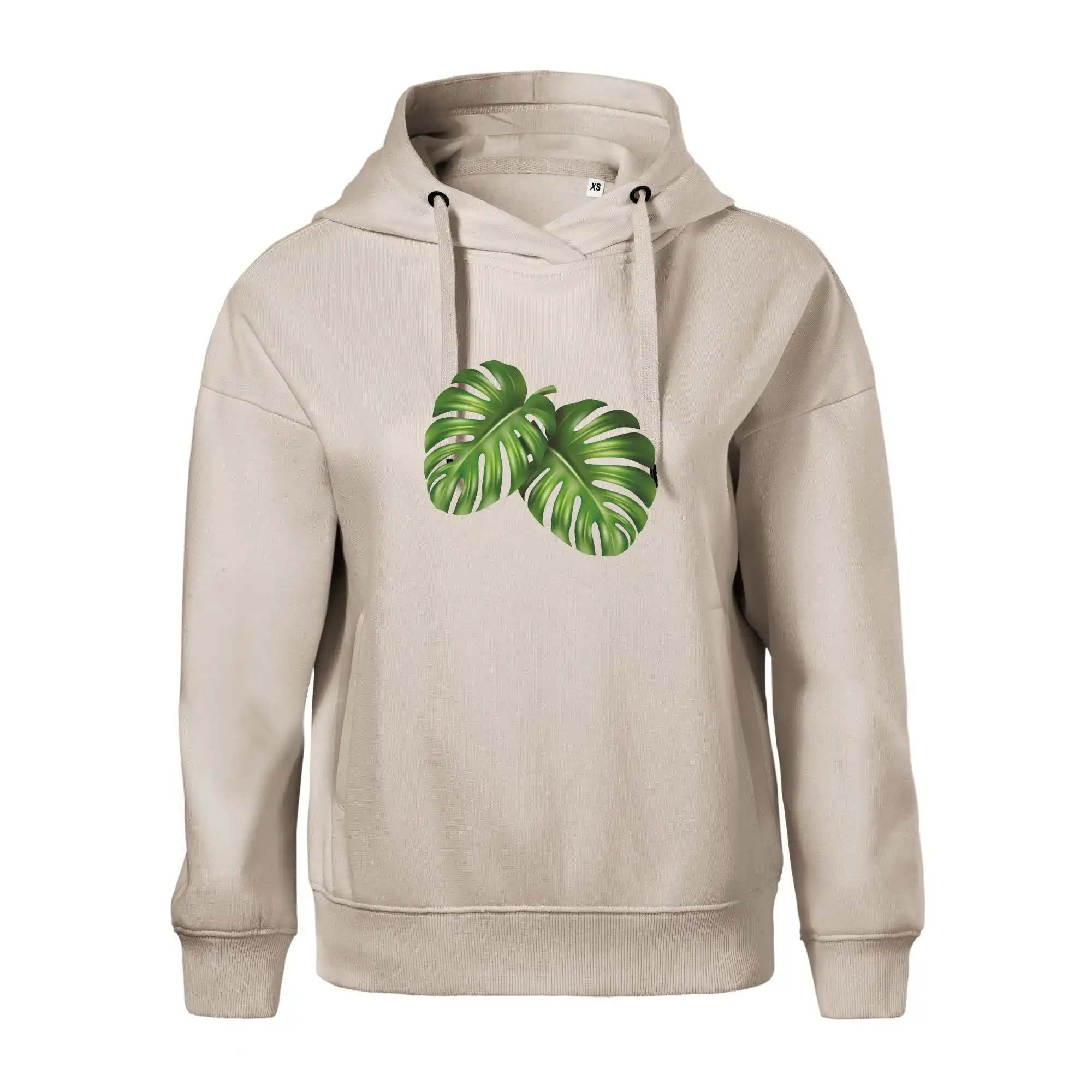 Monstera - dva listy