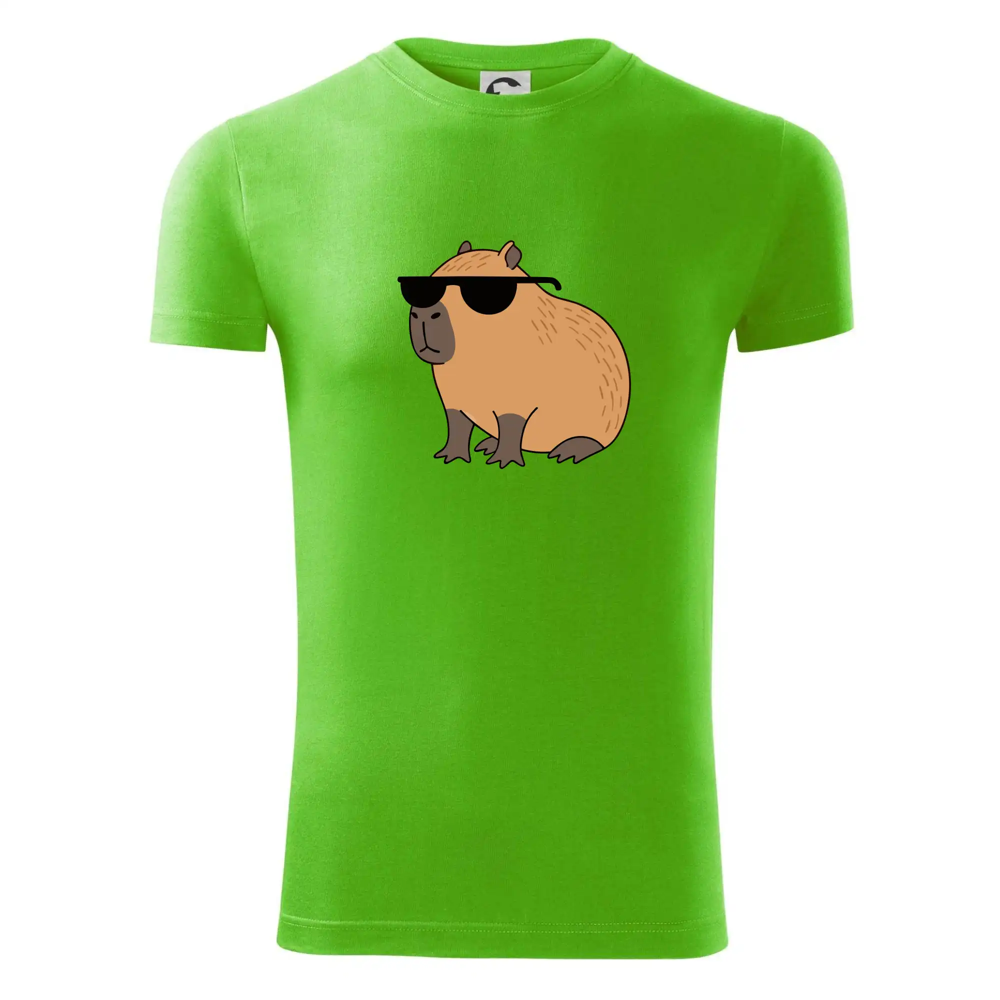 Hustá kapybara