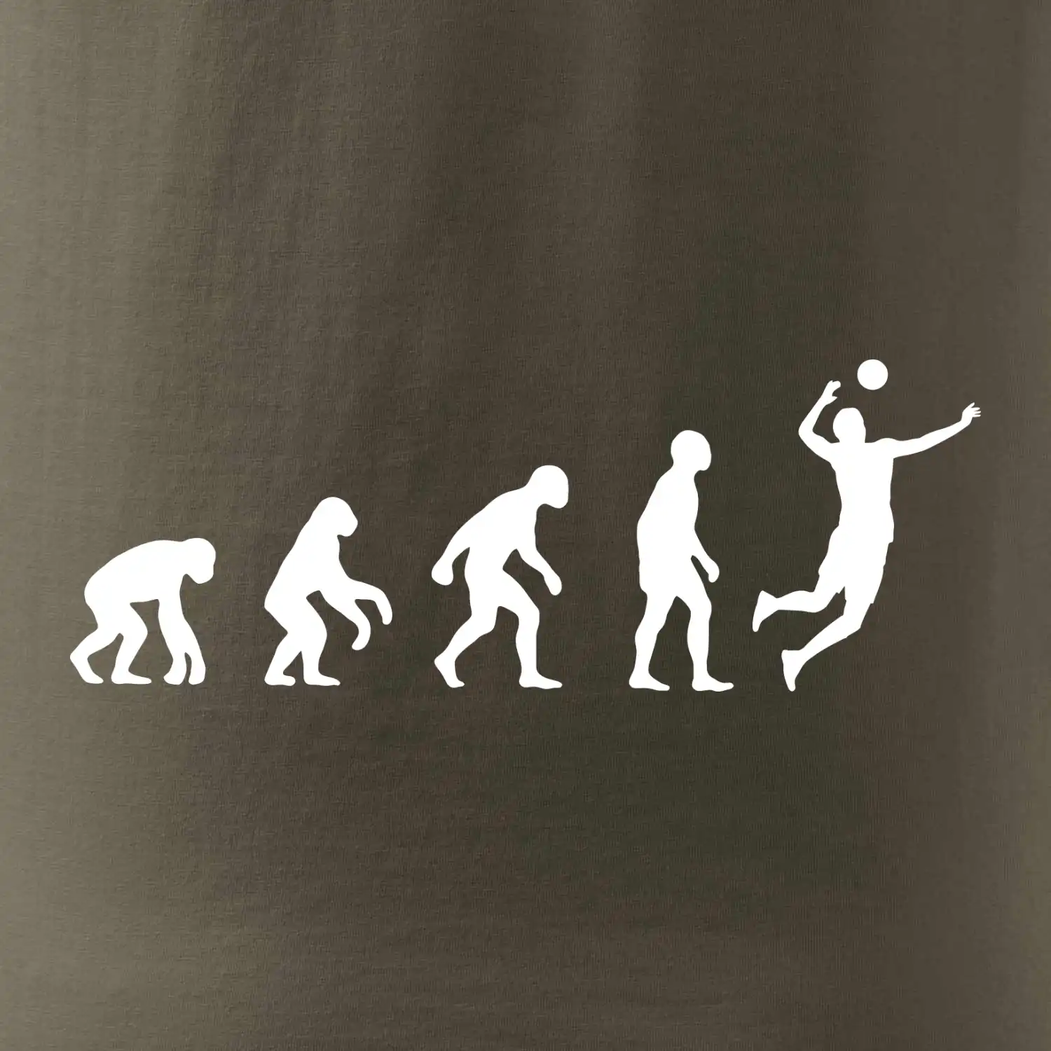 Evoluce volejbal smeč