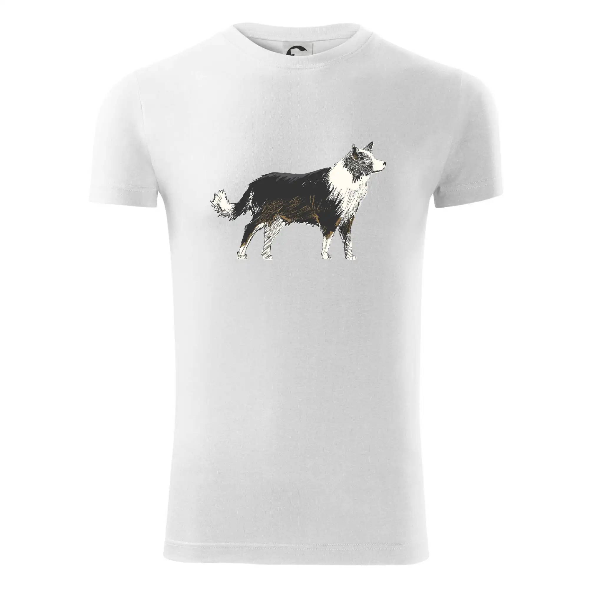 Border kolie kreslená