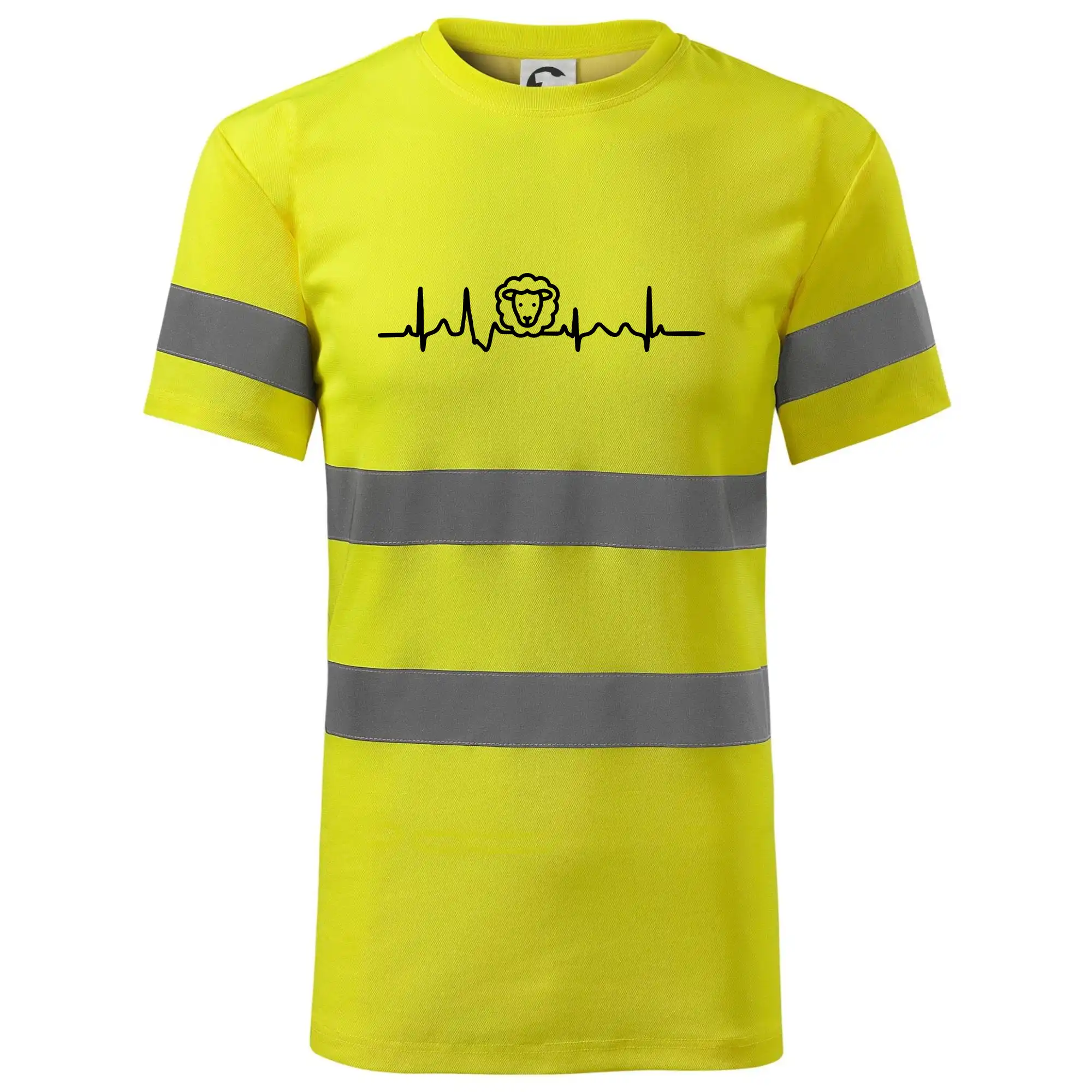 Ekg ovce
