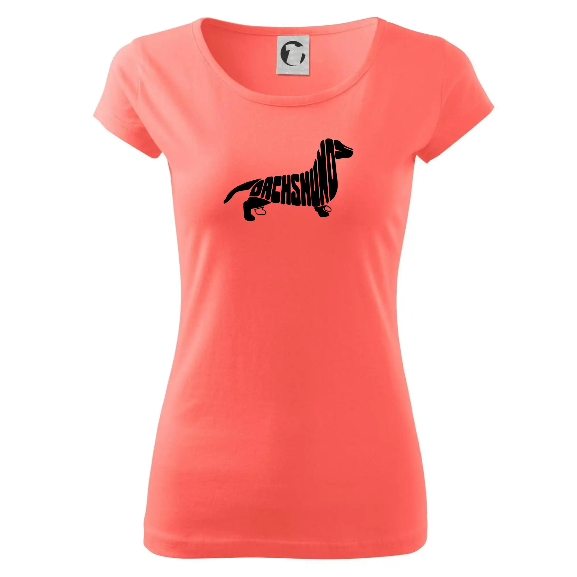 Jezevčík - Dachshund